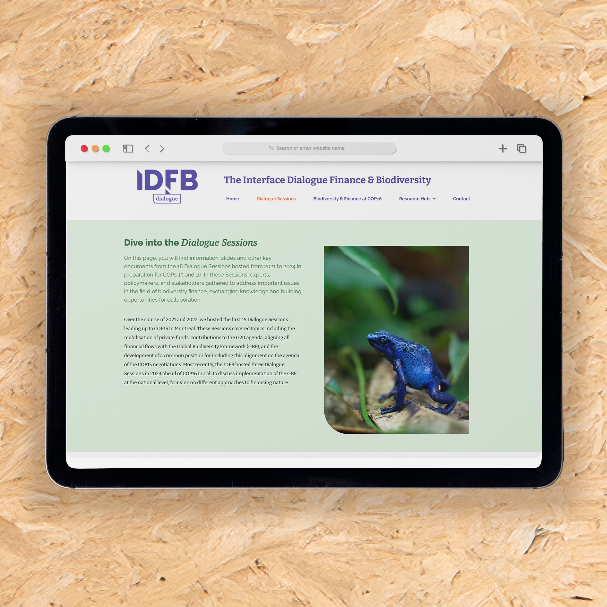 IDFB styleguide en website