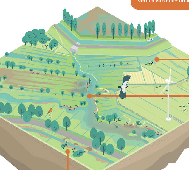 Overstromings risico infographic