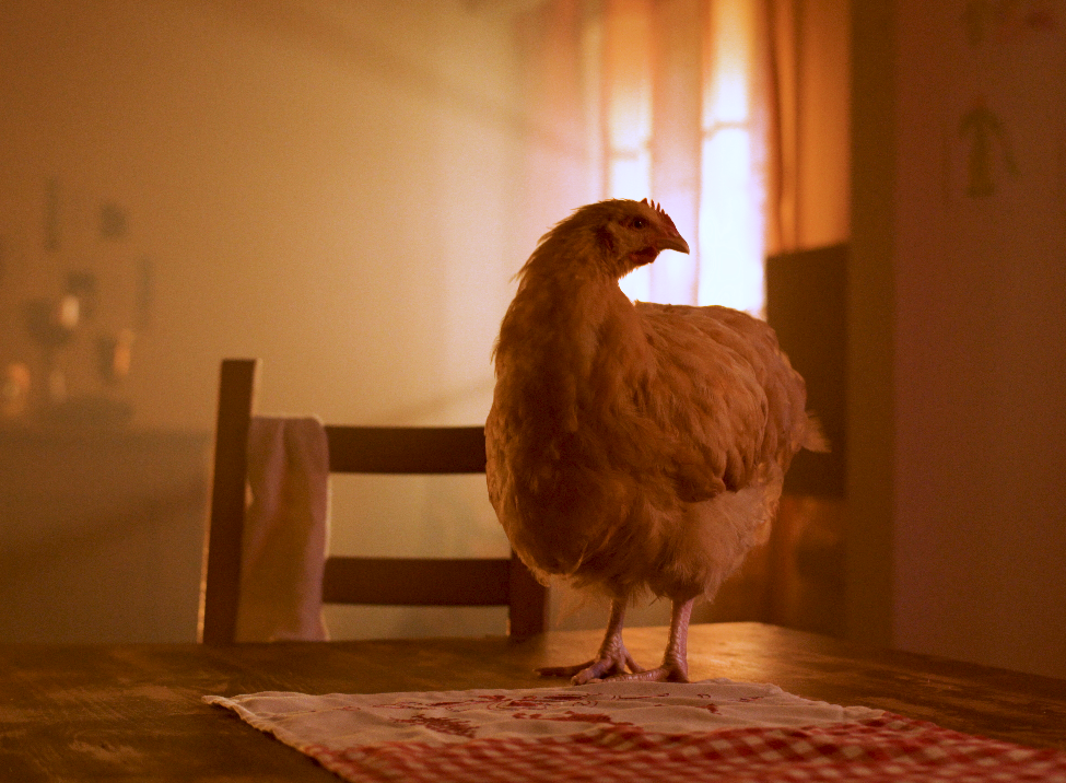 Bildschirmfoto 2020-03-02 um 23.25.48 Kopie.png