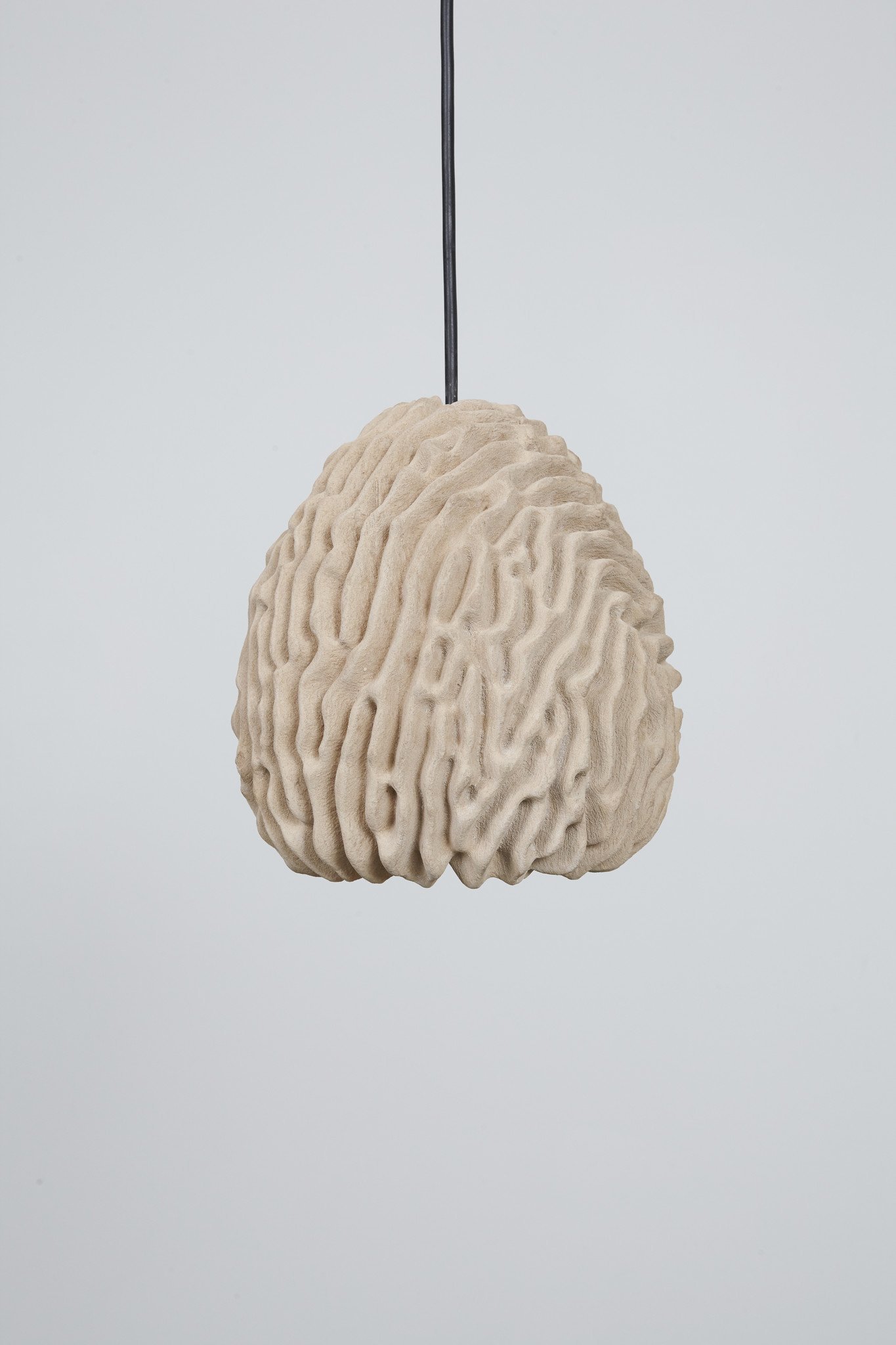 Coral light  | Eric Geboers & Matteo Baldassari