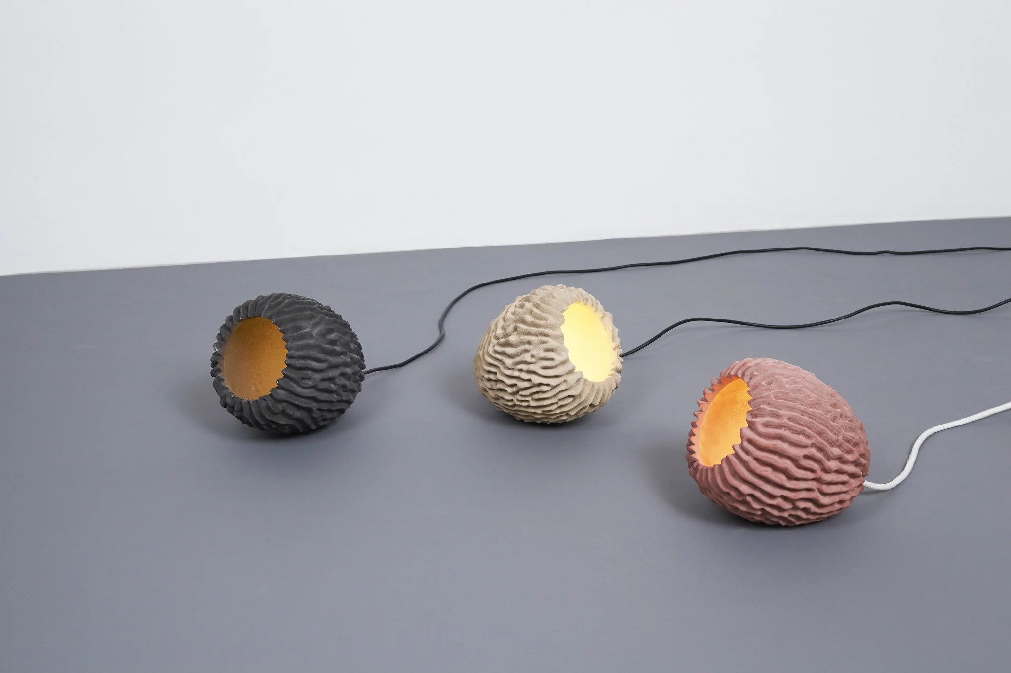 Transnatural_EricGeboers & Matteo Baldassari_Corallight(2).jpg