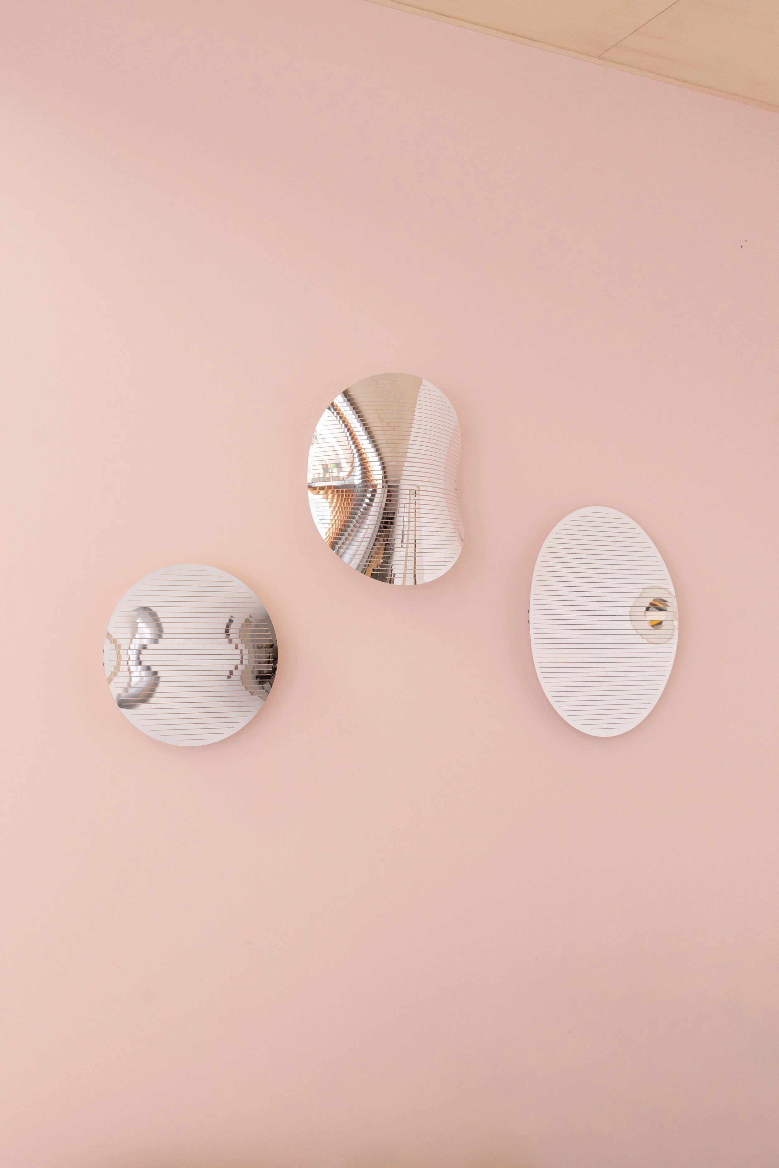 Transnatural_Martens&Visser - convex04.jpg