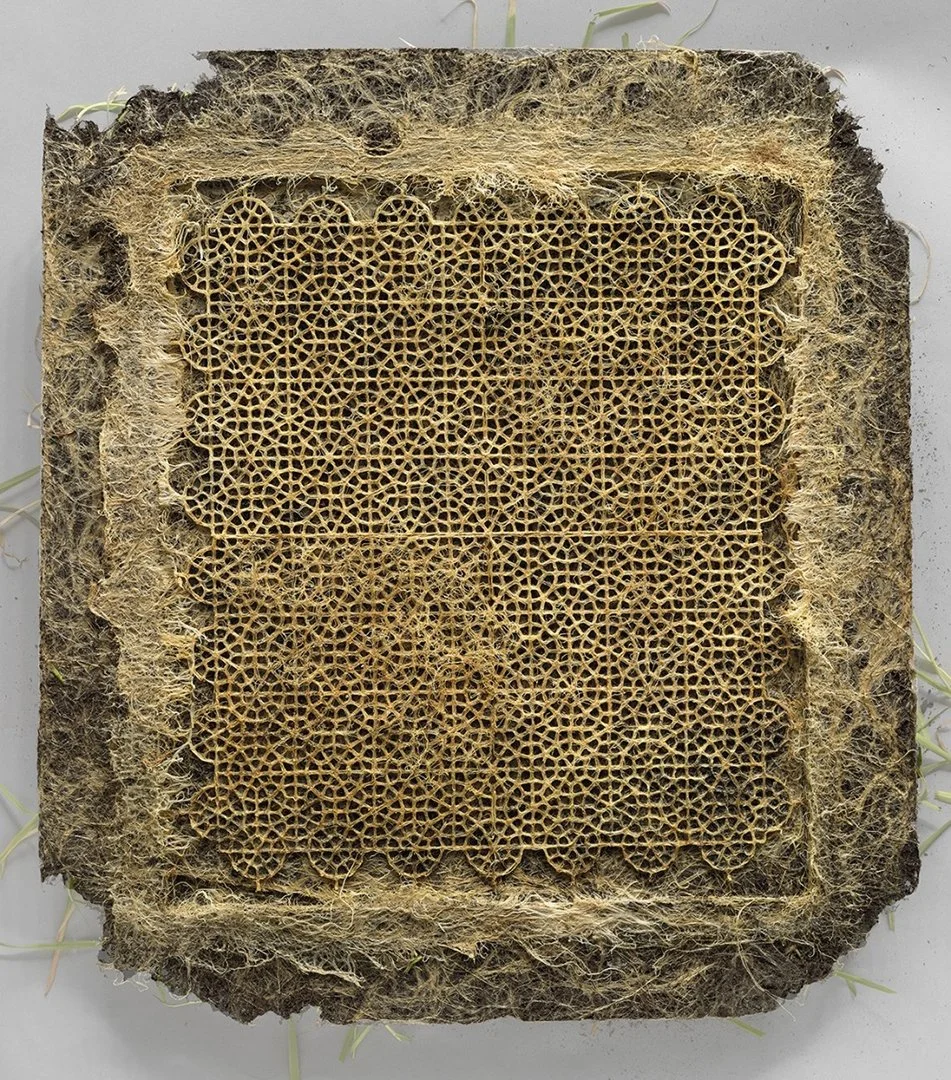 Transnatural01_DianaScherer_Interwoven.jpg