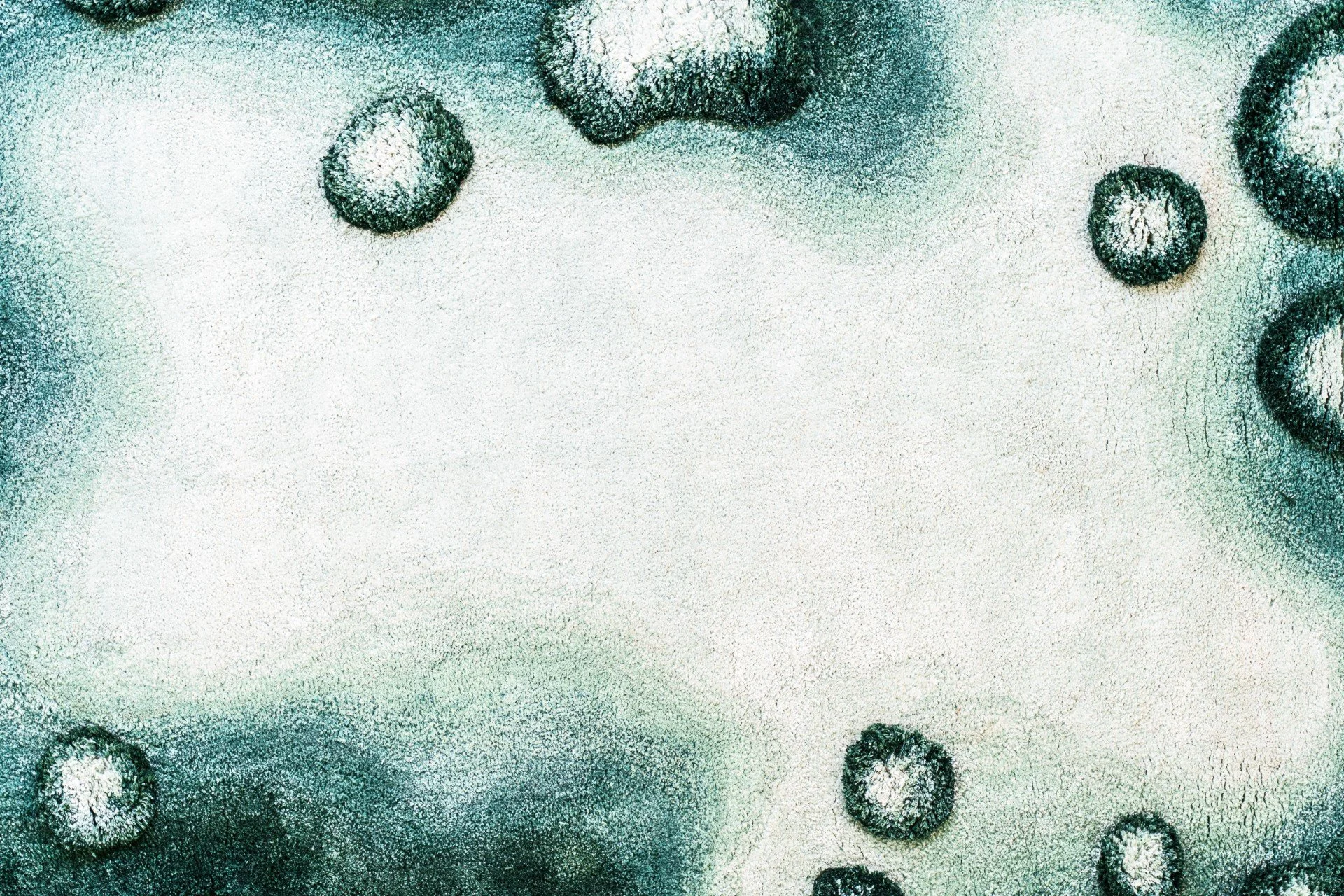 transnatural_alfhild kulper_dreamscape_fieldofjoy_10.jpg
