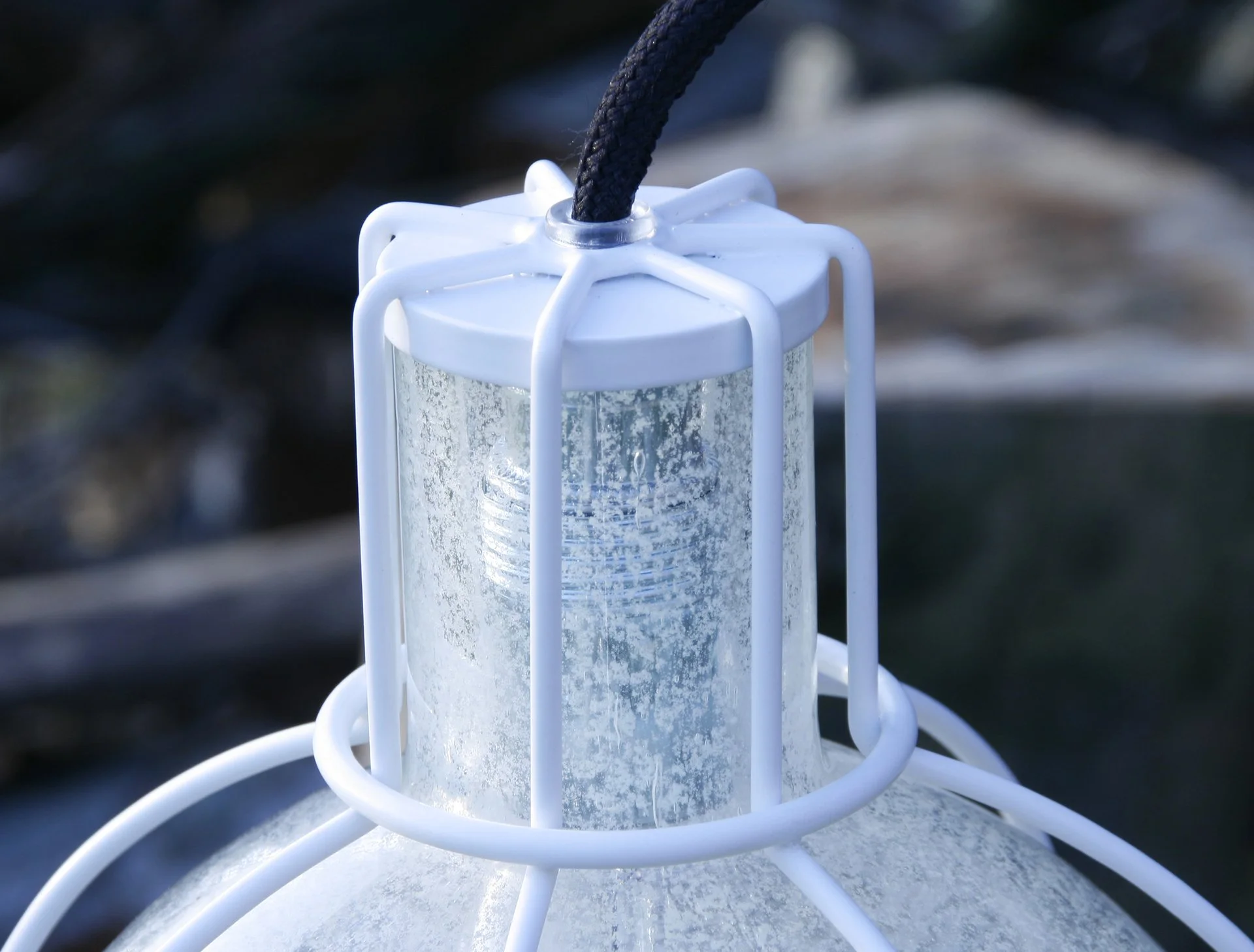 2.transnatural_gionata_gatto&mike_thompson_traplight_outdoor_03.jpg