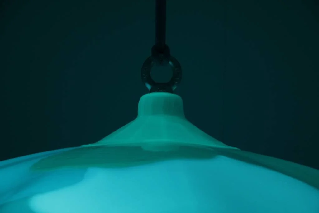 Transnatural_tracelight_GionataGatto&MikeThompson(3).jpg