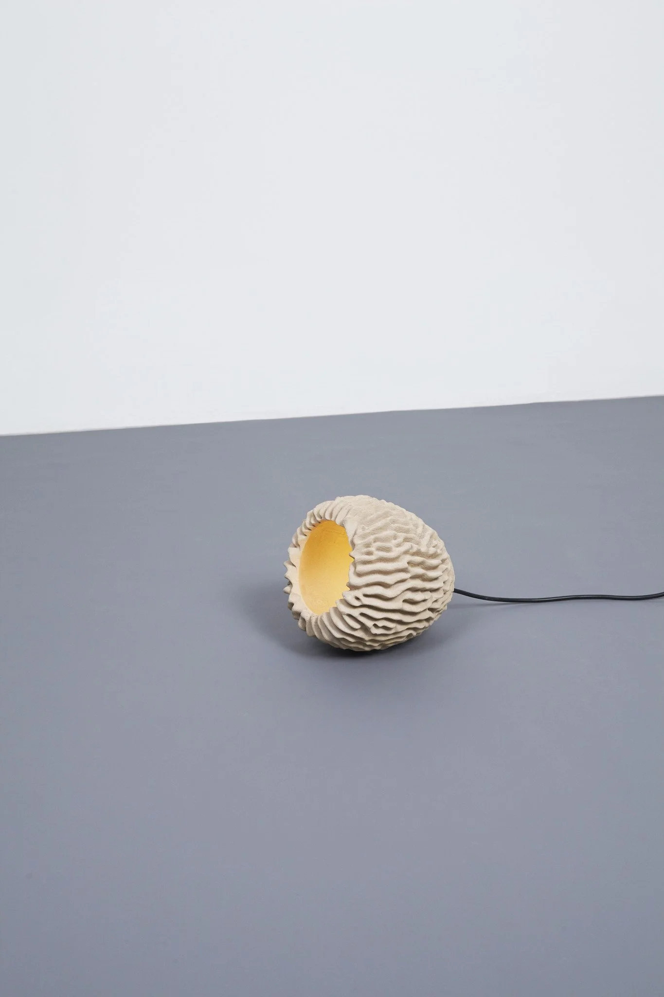 Transnatural_EricGeboers & Matteo Baldassari_Corallight(4).jpg