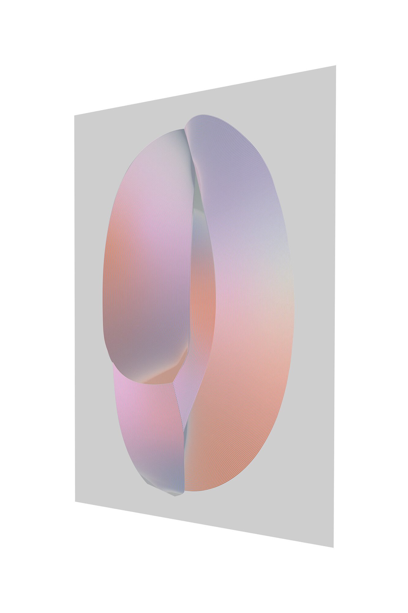 knot_in_motion_Martens&Visser_transnatural02.jpg