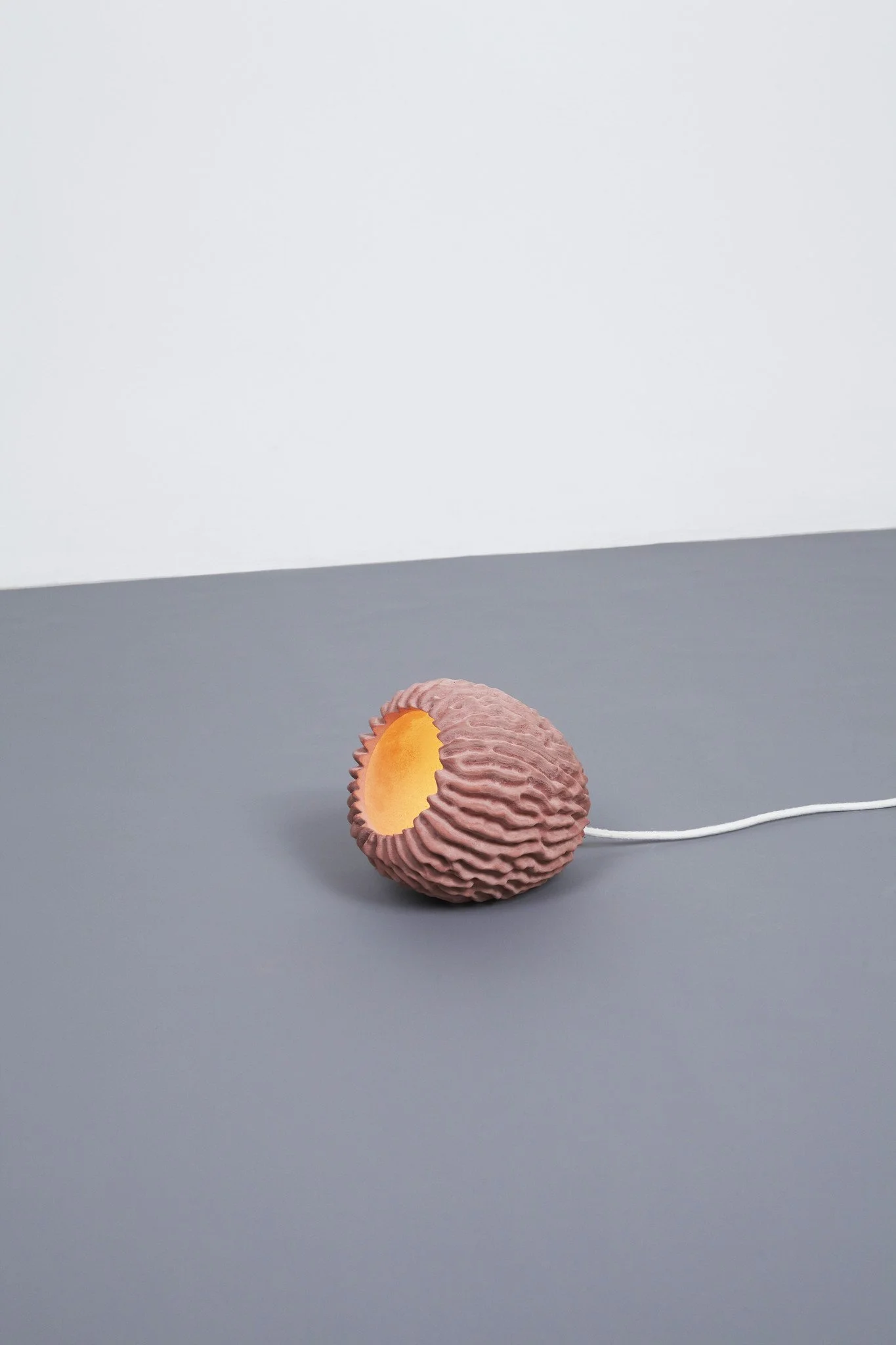 Transnatural_EricGeboers & Matteo Baldassari_Corallight(6).jpg
