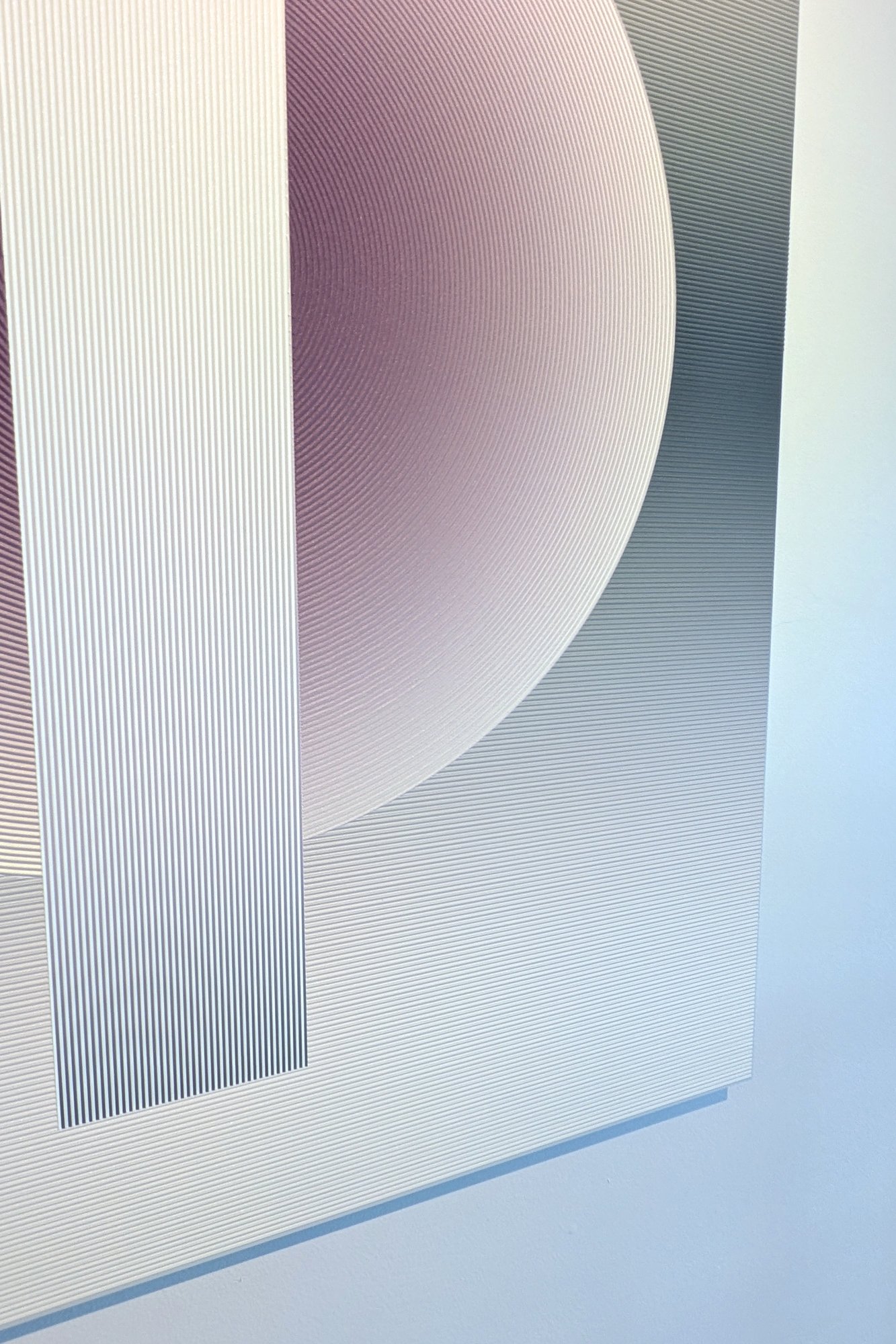 circle_in_motion_A+Nstudio_x_Transnatural02.jpg