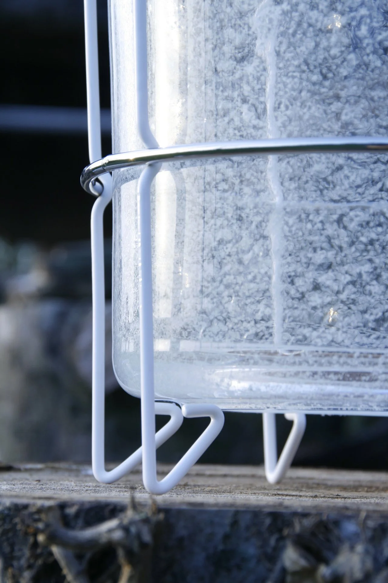 2.transnatural_gionata_gatto&mike_thompson_traplight_outdoor_04.jpg