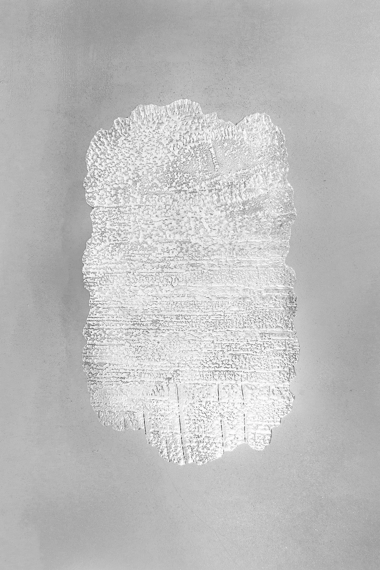 3.transnatural_studio_thus_that_crust_table_09.jpg