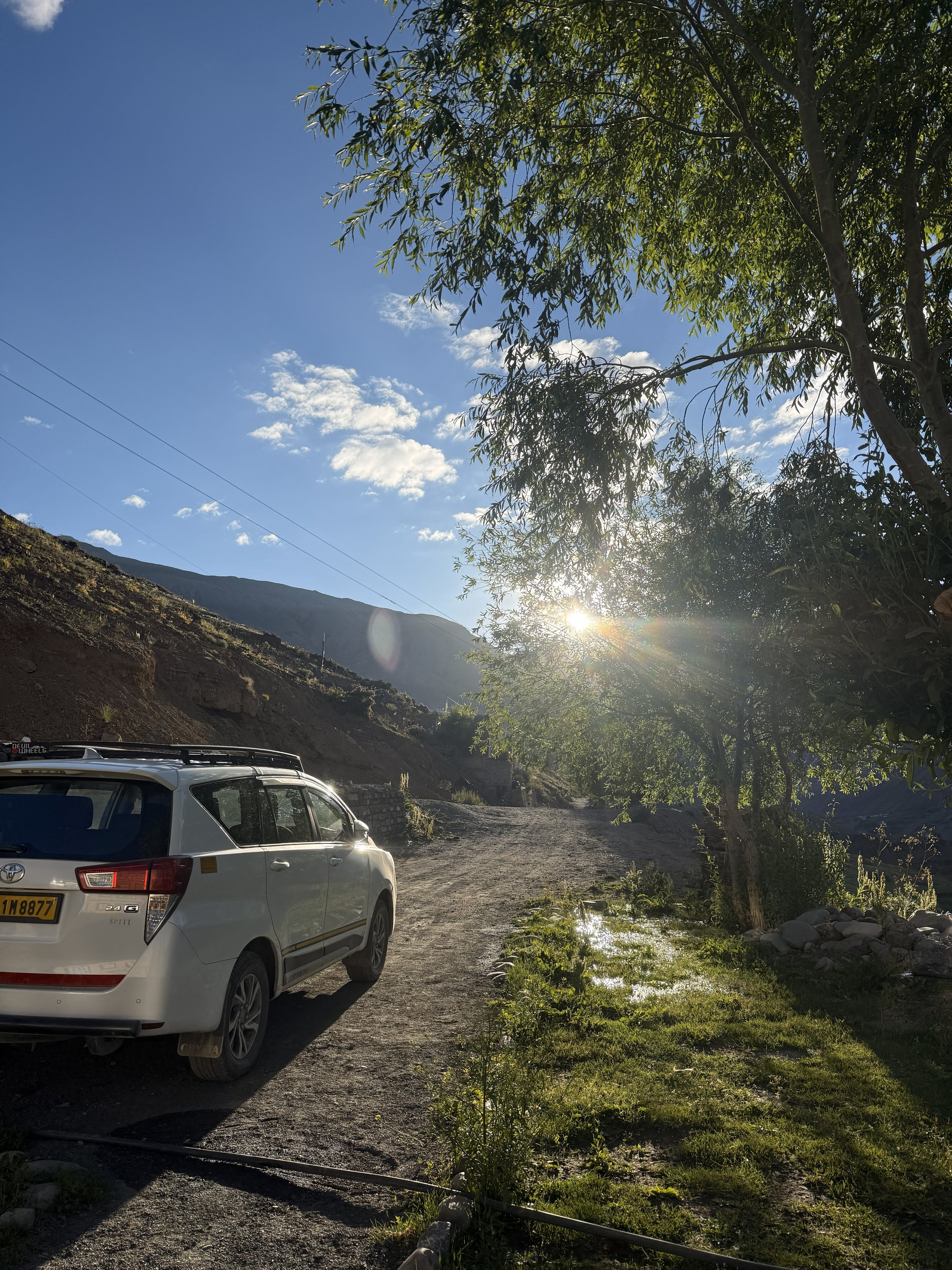 A quiet mountain roadside in Himachal, with early sunlight filtering through trees and layered hills in the background.