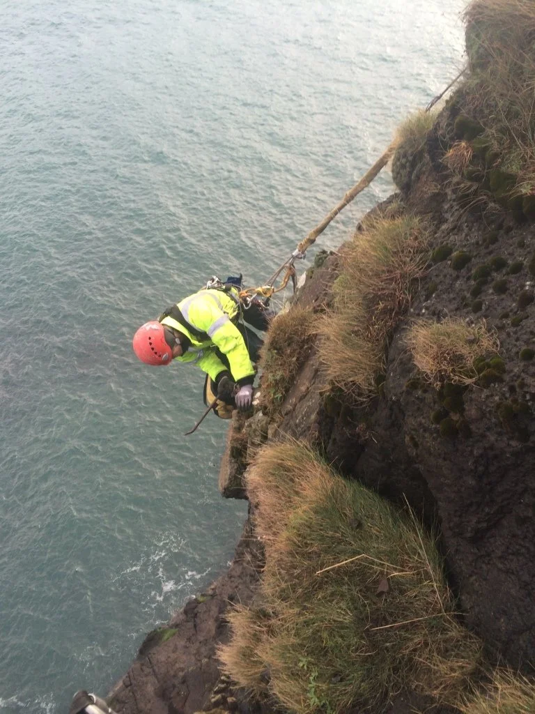 Blackhead Rockface Survey (5).JPG