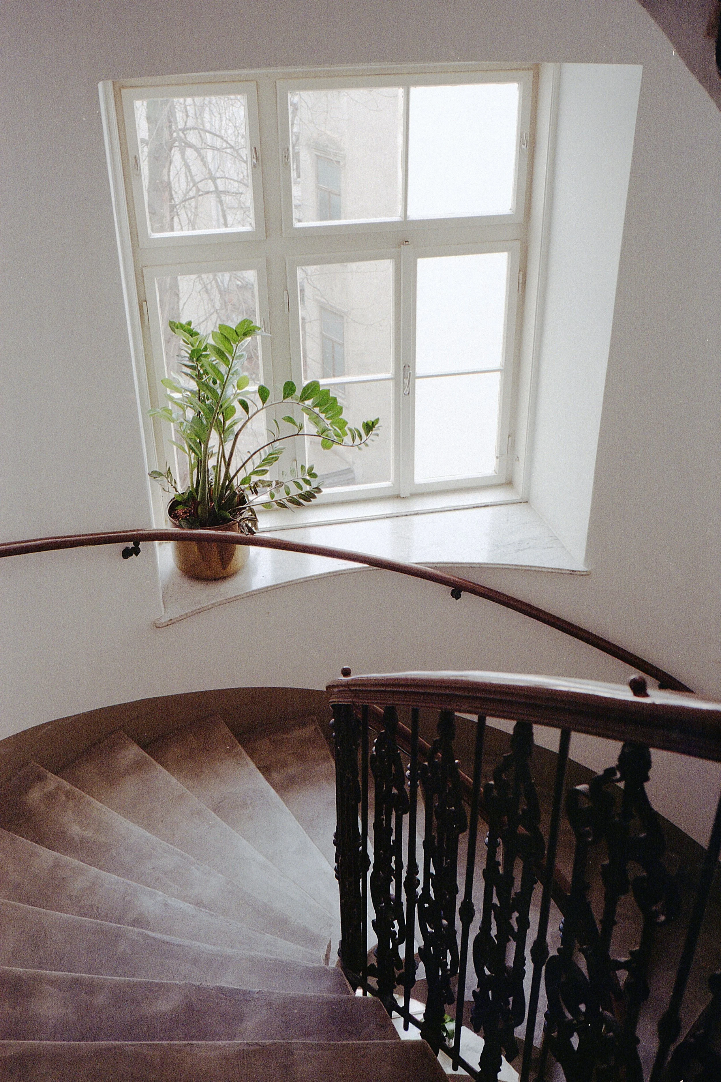 peter-mollner-VlQJianCIEI-unsplash.jpg