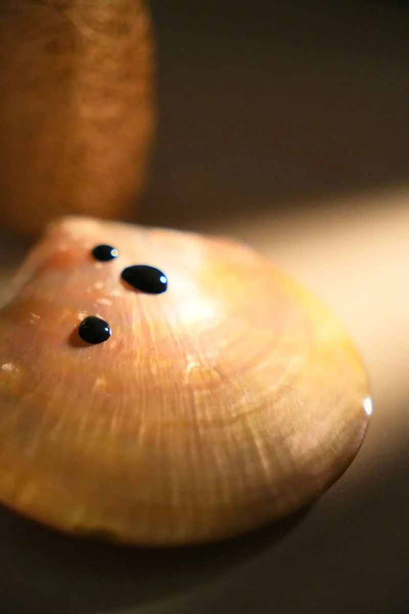 Black pigment on white pearl shell - the art of pigment customisation for nano brows.