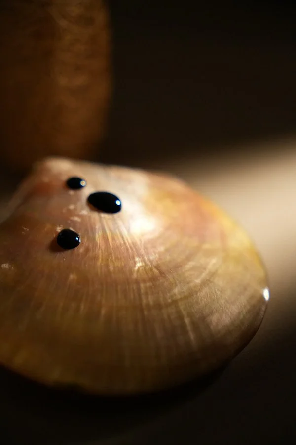 Dark pigment resembles melanin on white pearl shell