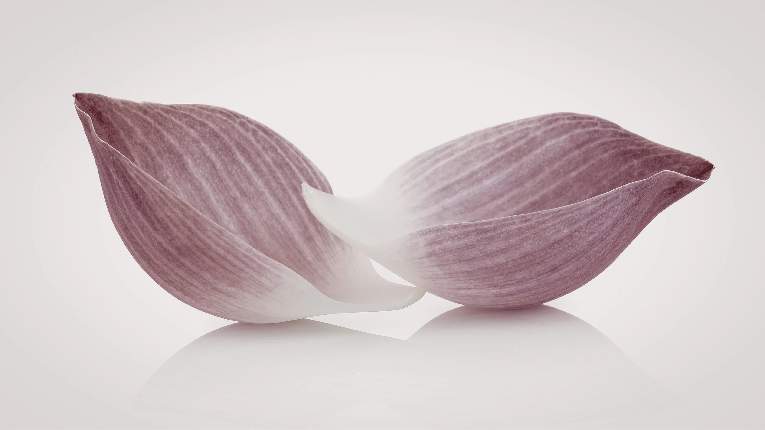 The two lotus petals resembling lips are different and we will personalise pigment for each client.