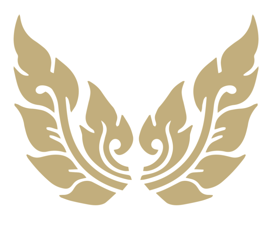 Geometric drawing of an Thai art in wing pattern representing the protection of the skin and shorten recovery