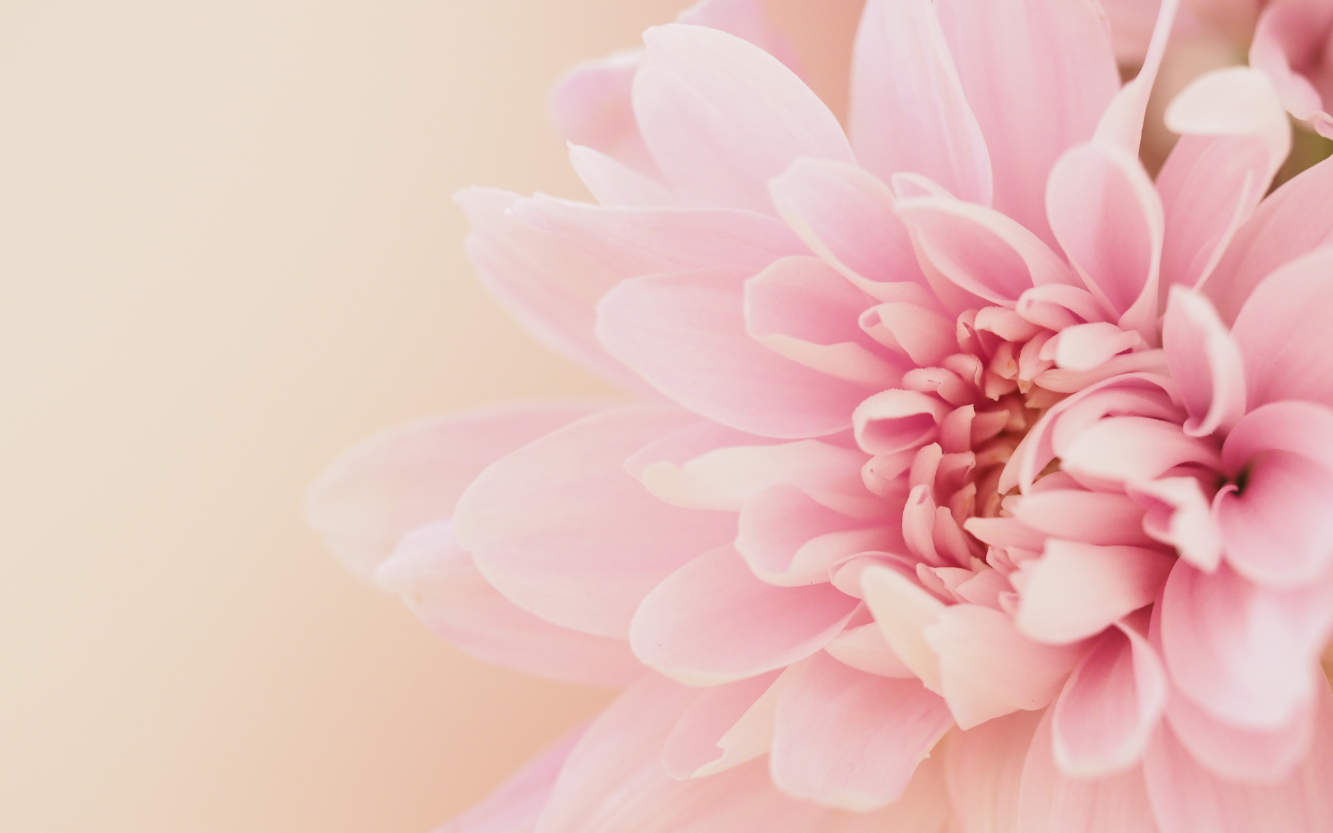 „Das Wissen über Trauma hat die Macht, die Welt zu verändern.“