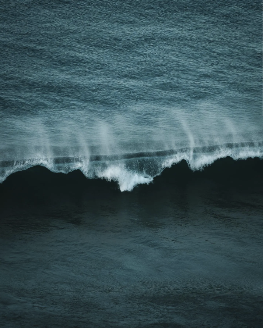 Screenshot 2026-01-26 alle 10.09.49.png