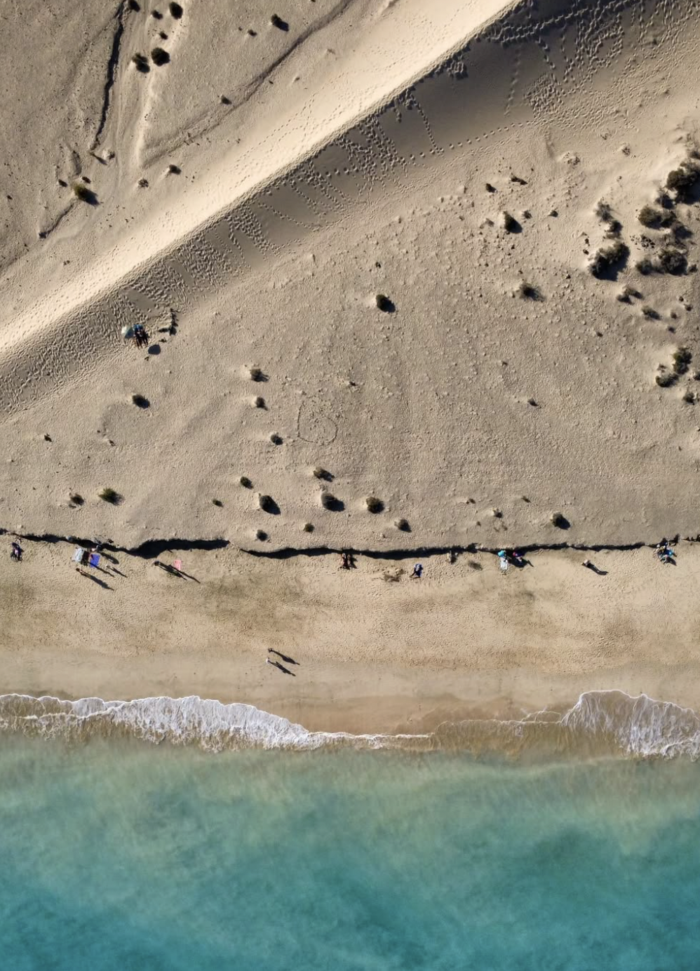 Screenshot 2026-01-28 alle 16.22.18.png