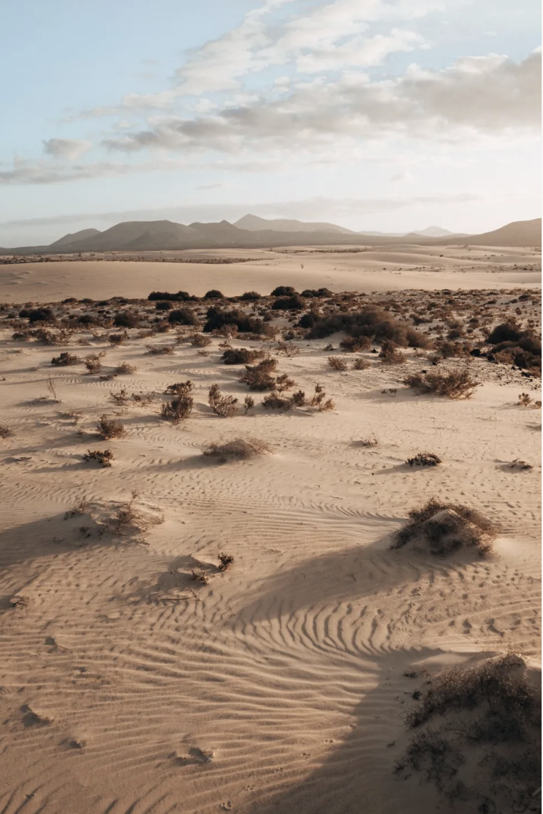 Screenshot 2026-01-29 alle 16.00.25.png