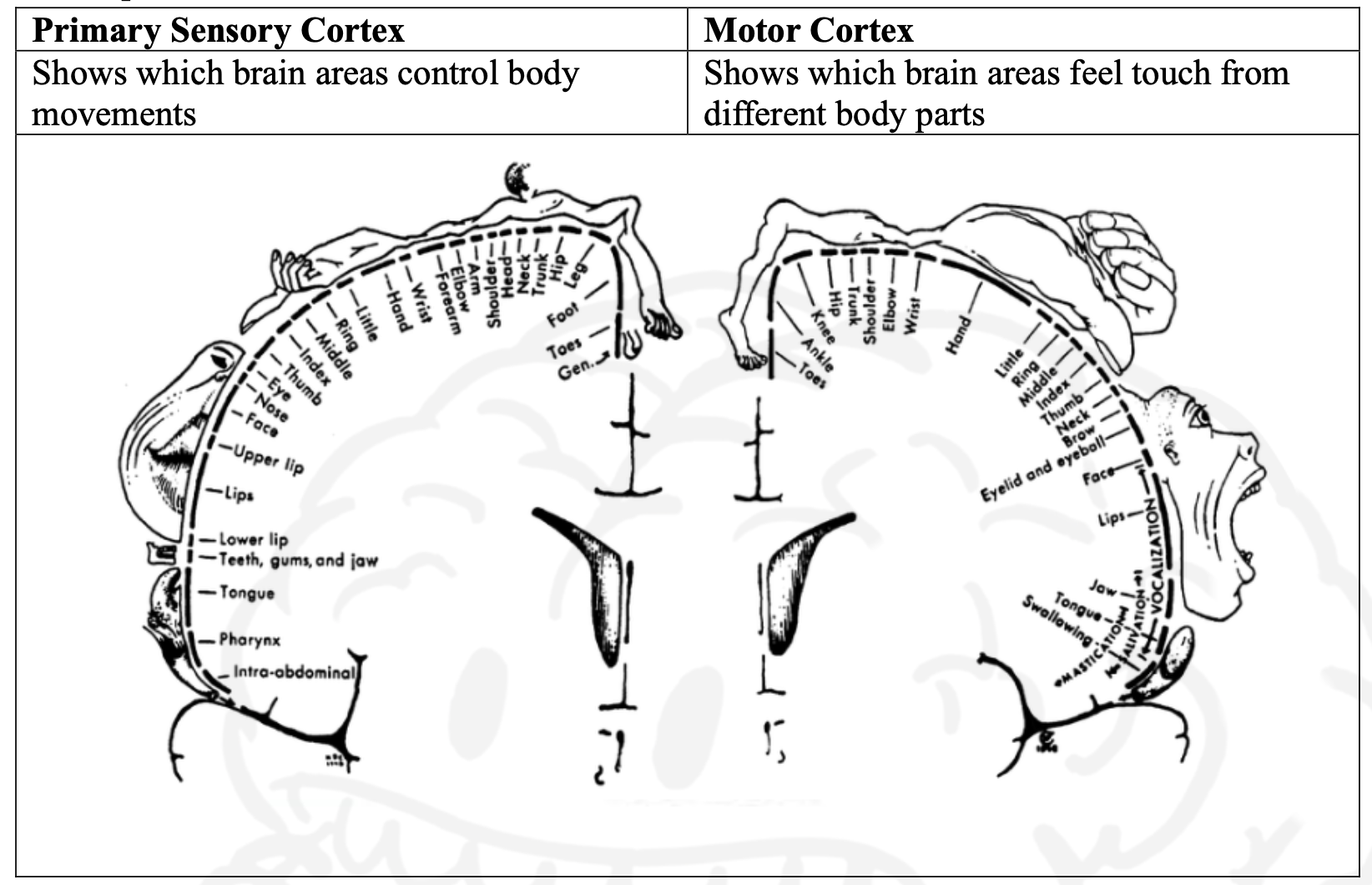 History of Psychology Week 4