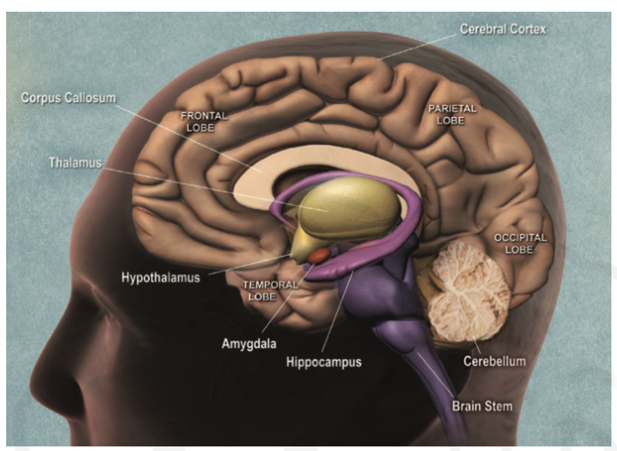 Screenshot 2026-01-18 at 16.03.26.png