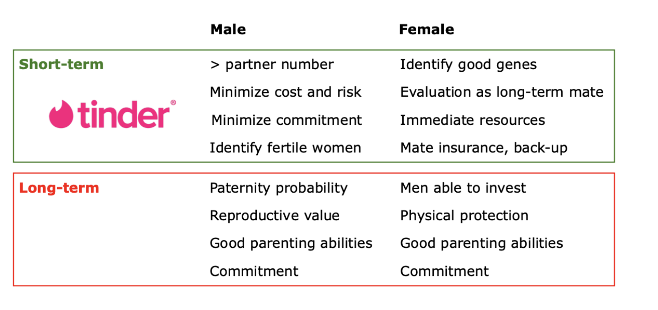 Screenshot 2026-03-20 at 11.42.42.png