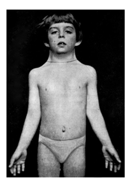 Screenshot 2026-03-22 at 22.02.53.png