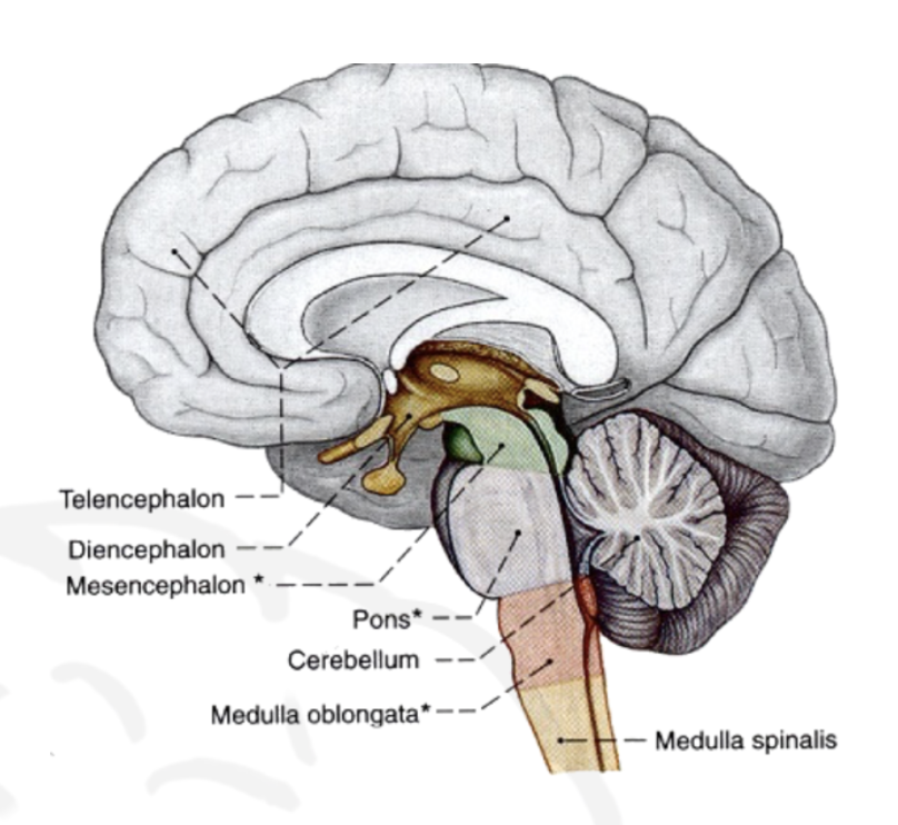 Screenshot 2026-03-22 at 21.59.20.png