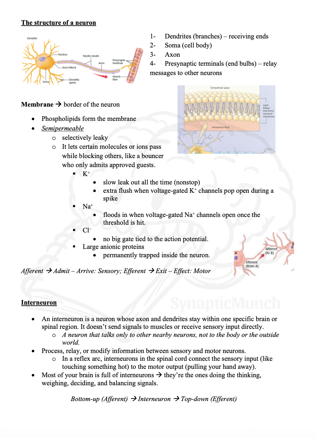 Screenshot 2026-01-09 at 20.02.41.png