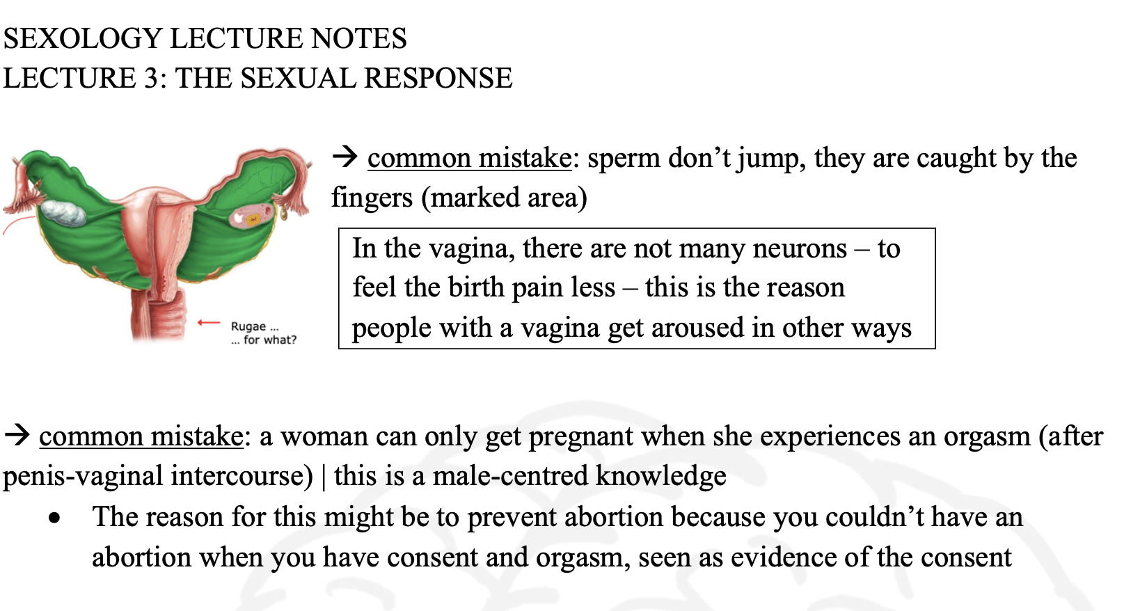 Screenshot 2026-03-14 at 20.30.17.png