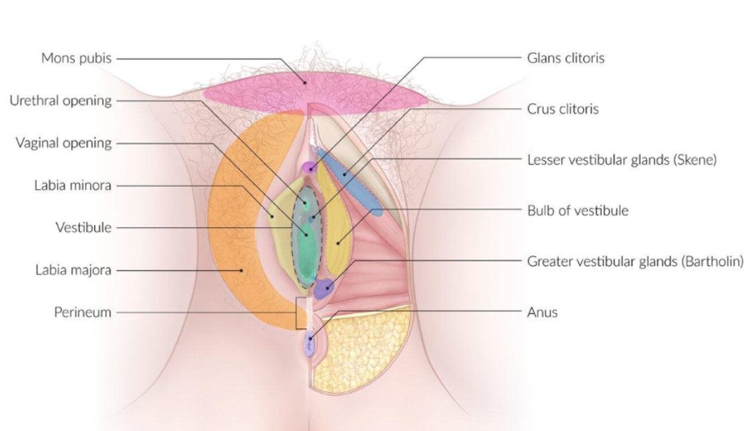 Screenshot 2026-03-02 at 22.28.42.png