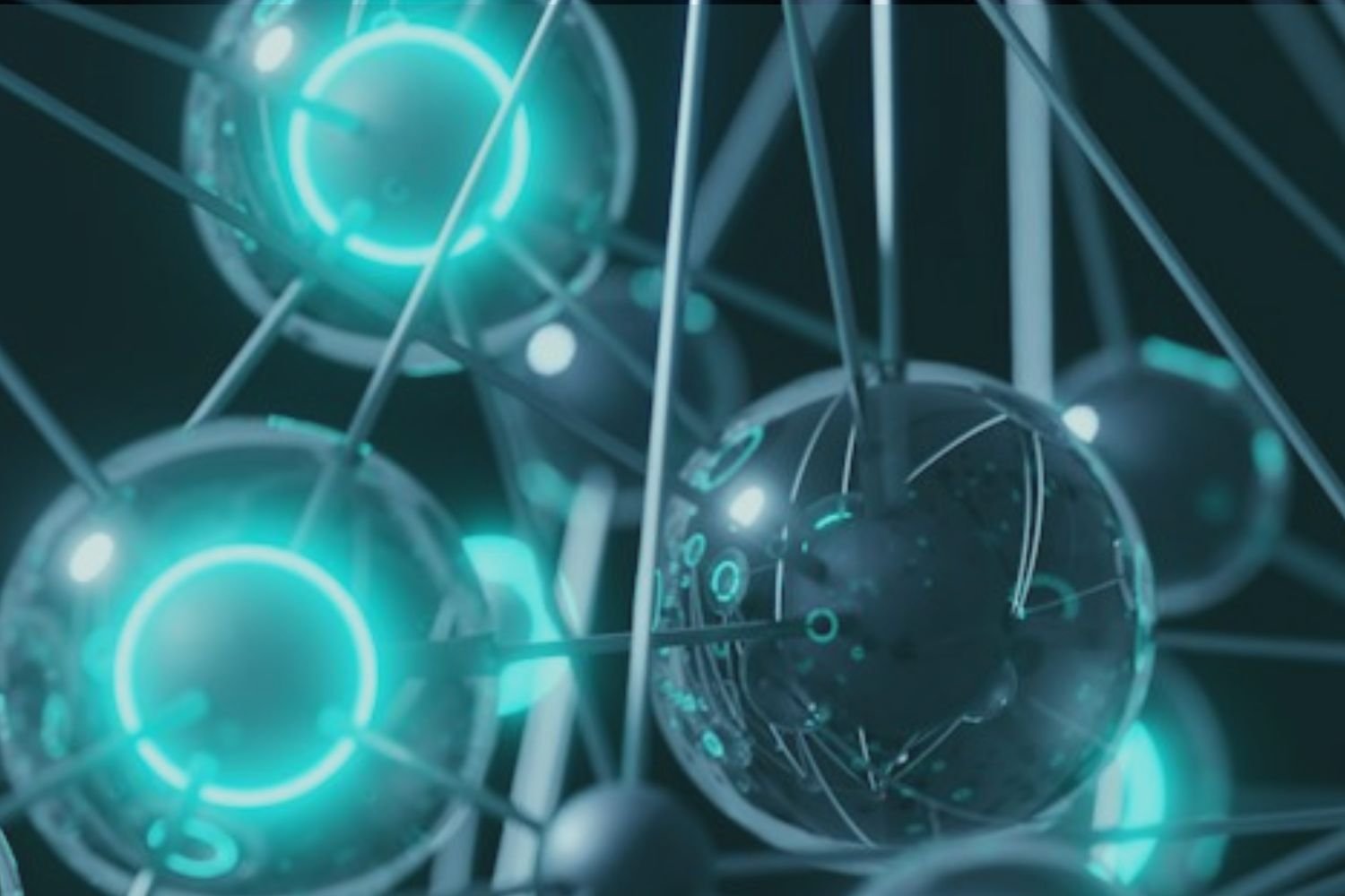 How to Audit Your Economic Operator