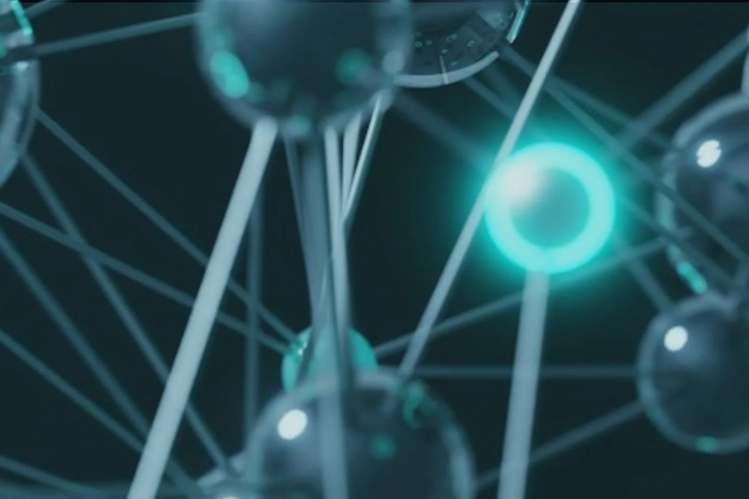 Choosing the Right EO for&nbsp;Long-Term Compliance&nbsp;