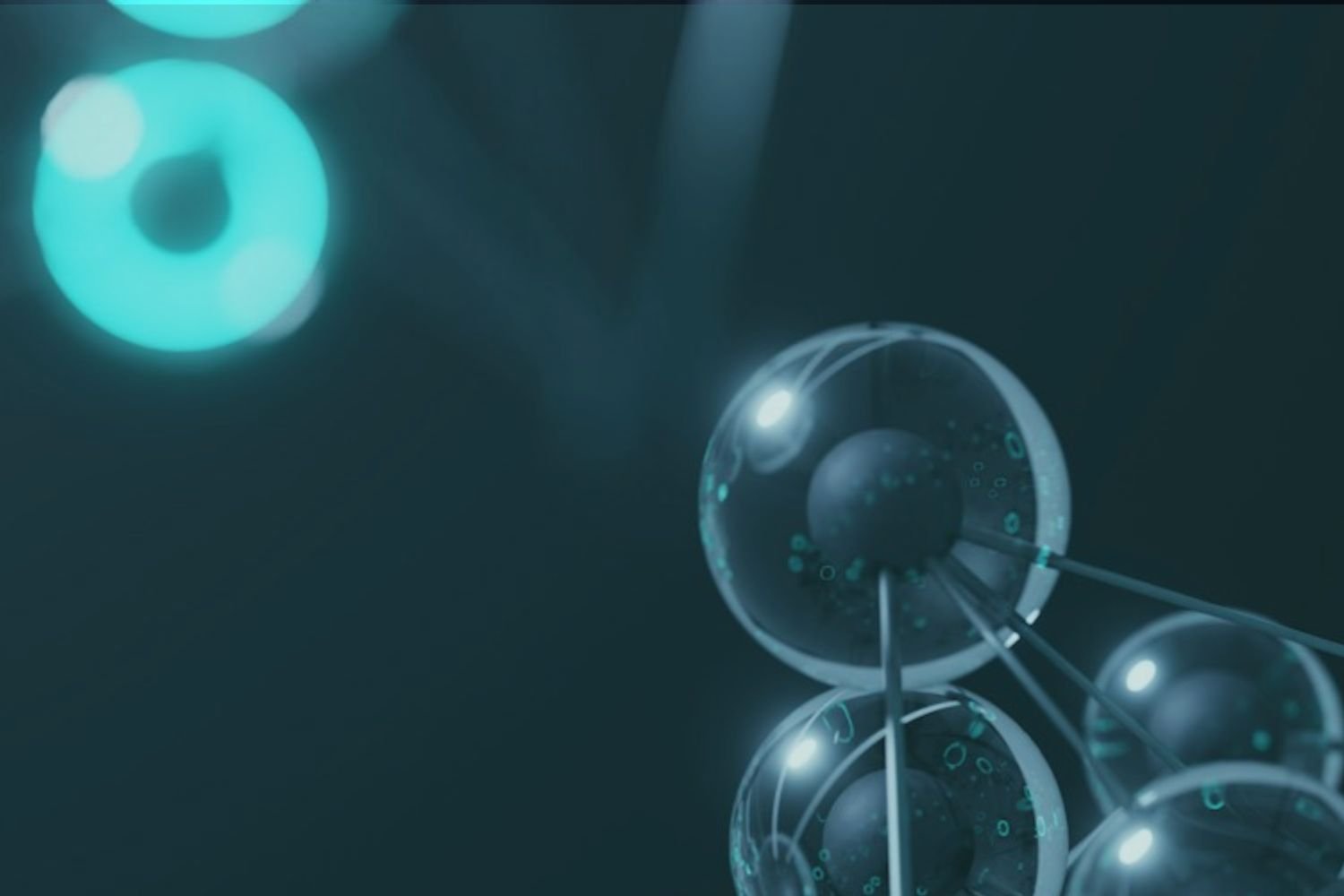 How to Choose the Right Authorised Representative (AR) Under EU MDR/IVDR