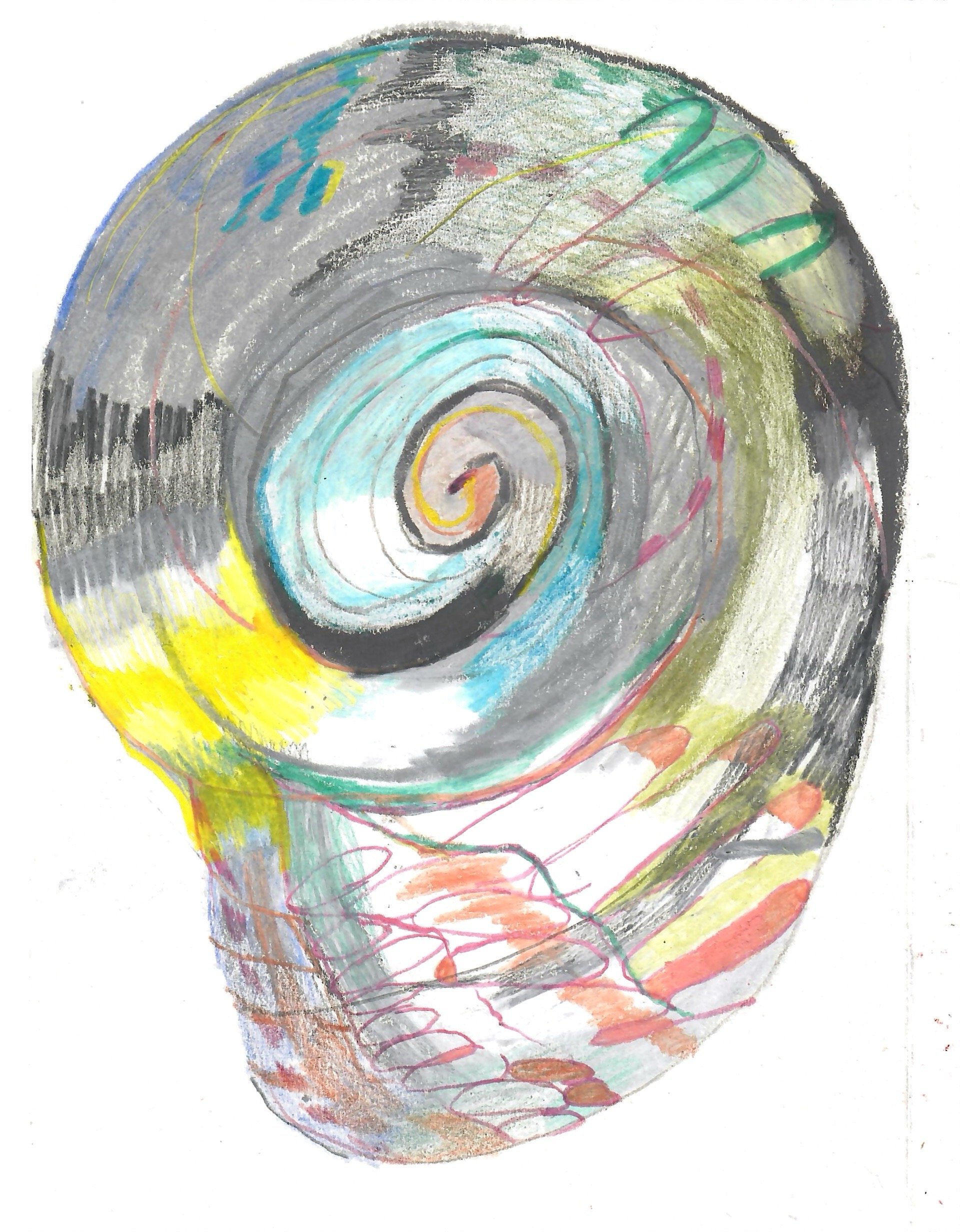 shell2.JPG