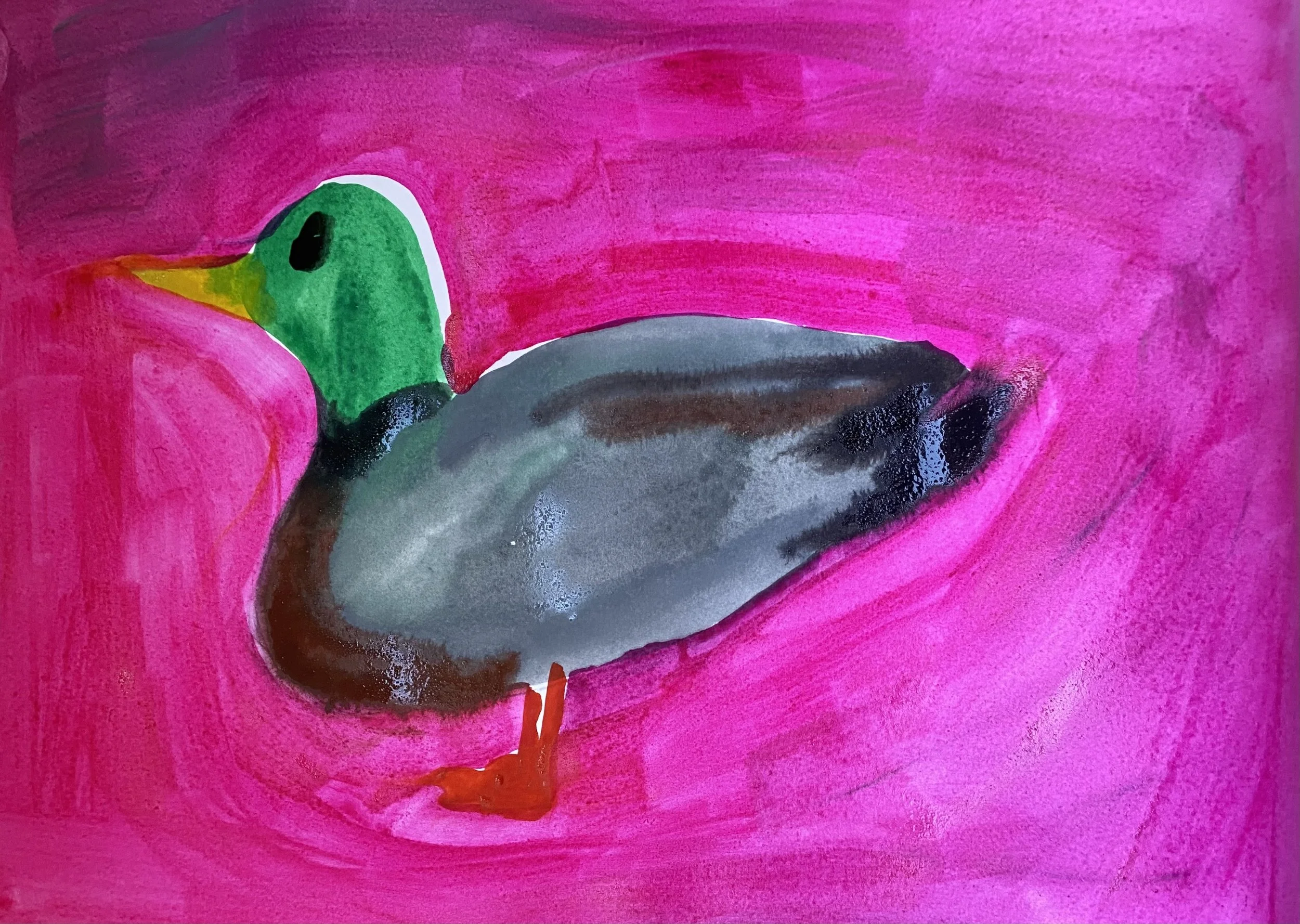 duck2.jpg