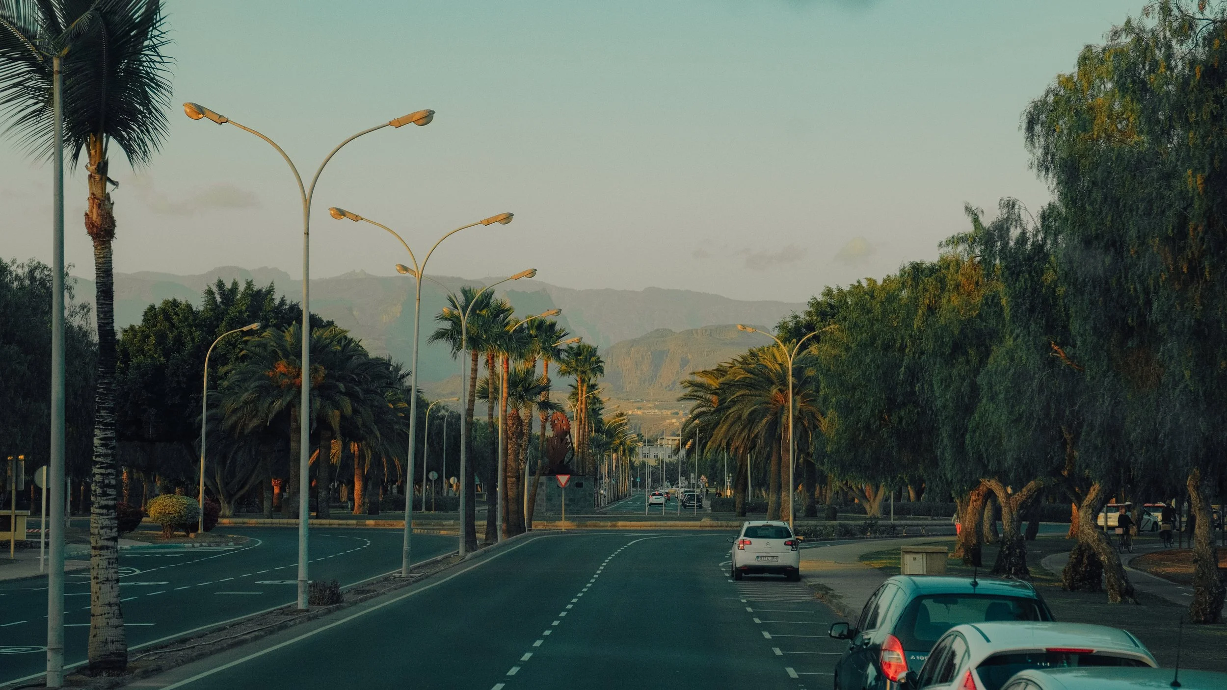 A cinematic street view of a road lined with tall palm trees fading into a hazy mountain distance.