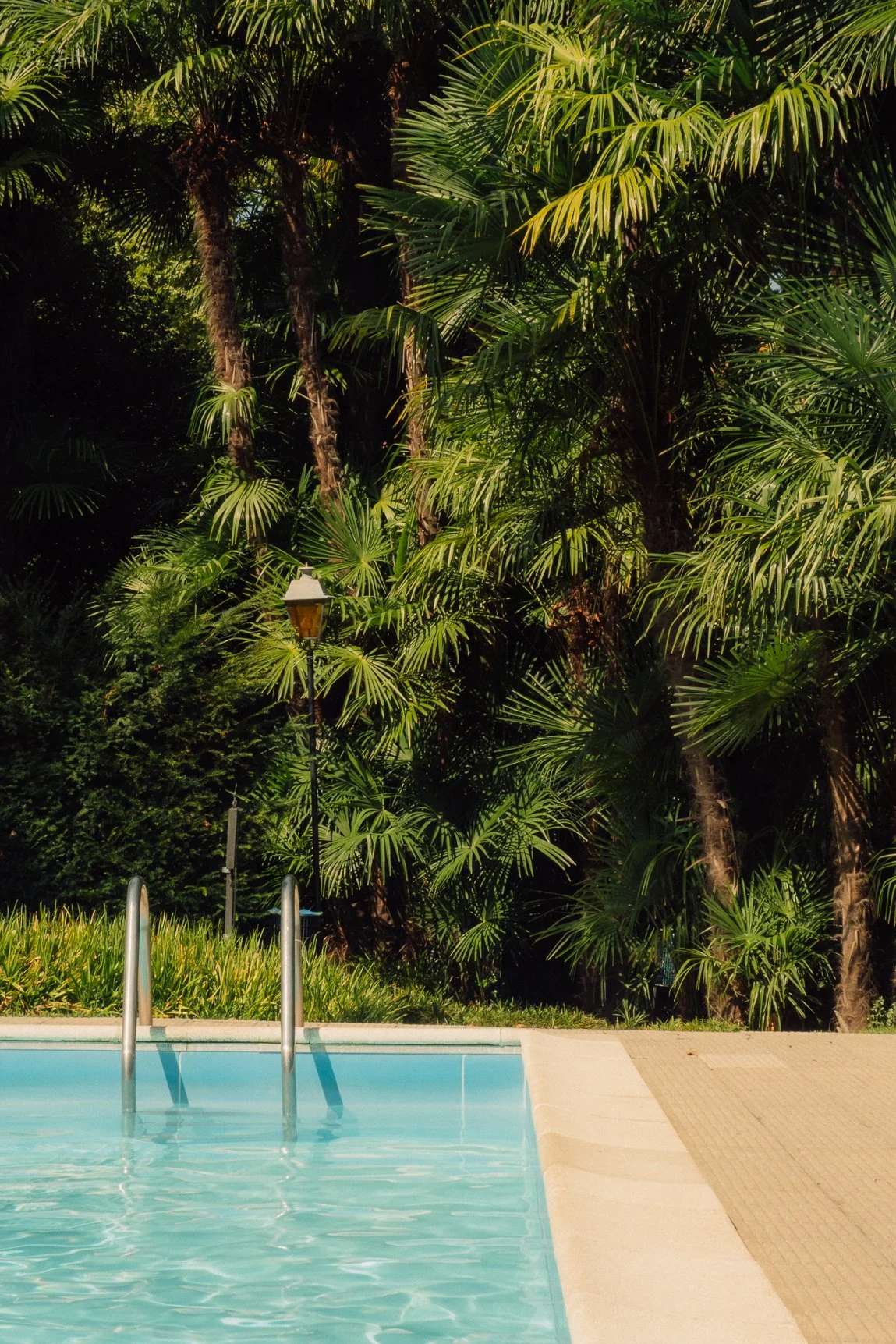 Minimalist shot of a swimming pool ladder entering blue water, surrounded by dense tropical foliage.