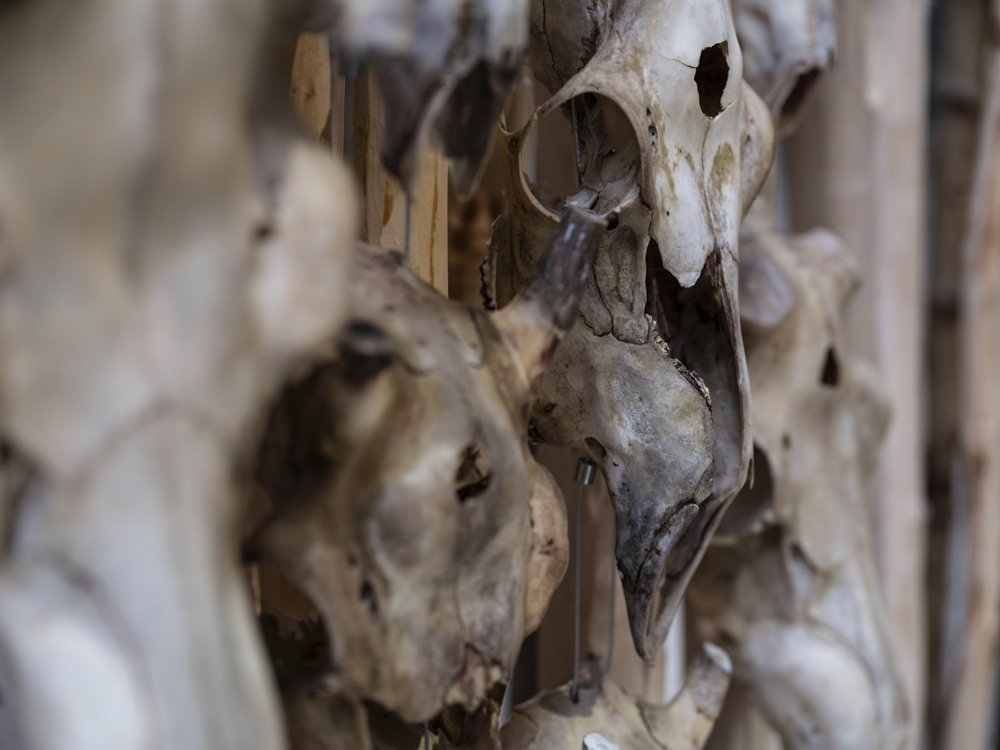 Hyundai Commission
Máret Ánne Sara, Tate Modern, 2025/26, Photo © Tate (Jai Monaghan)