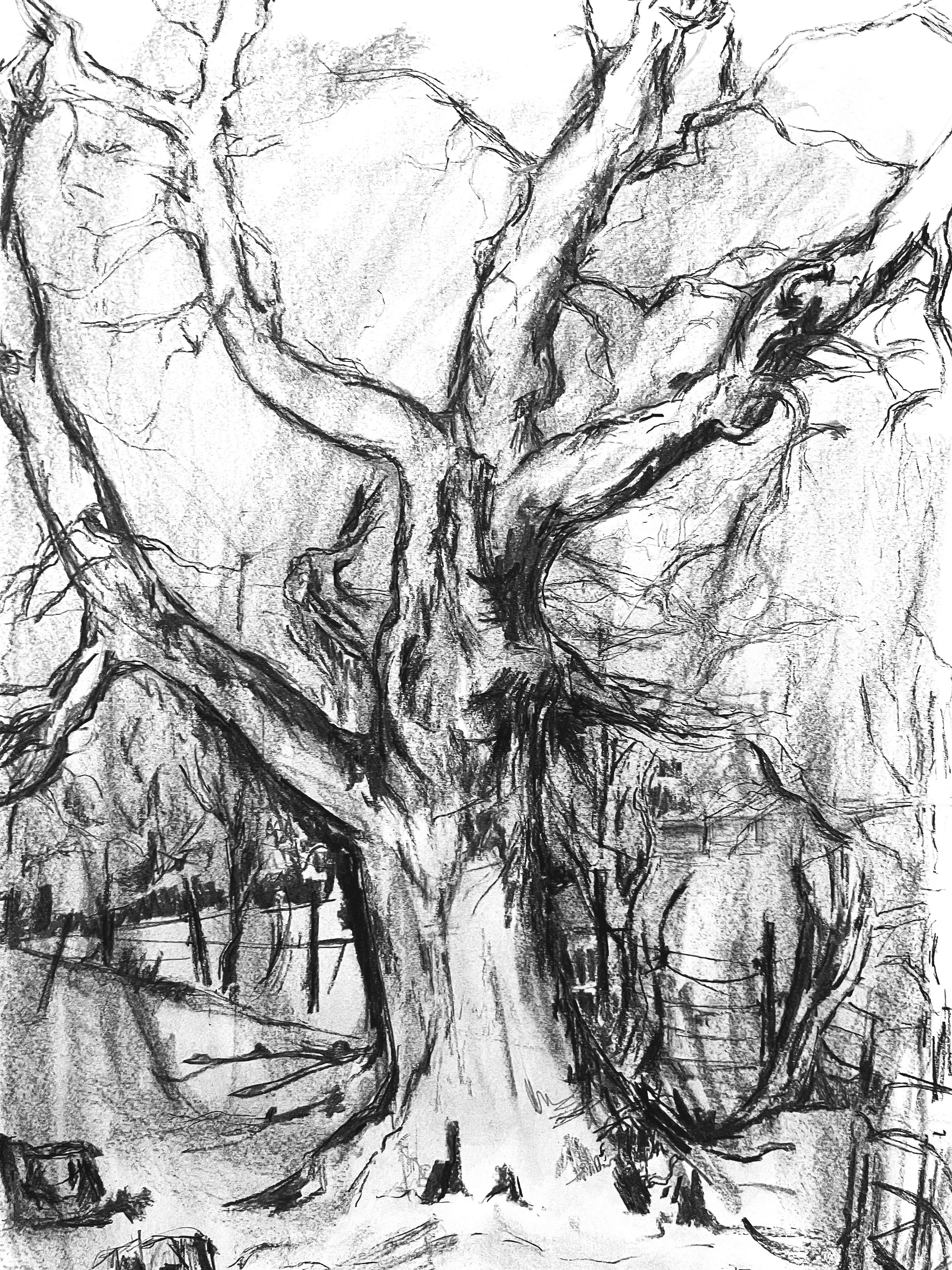 Drawings