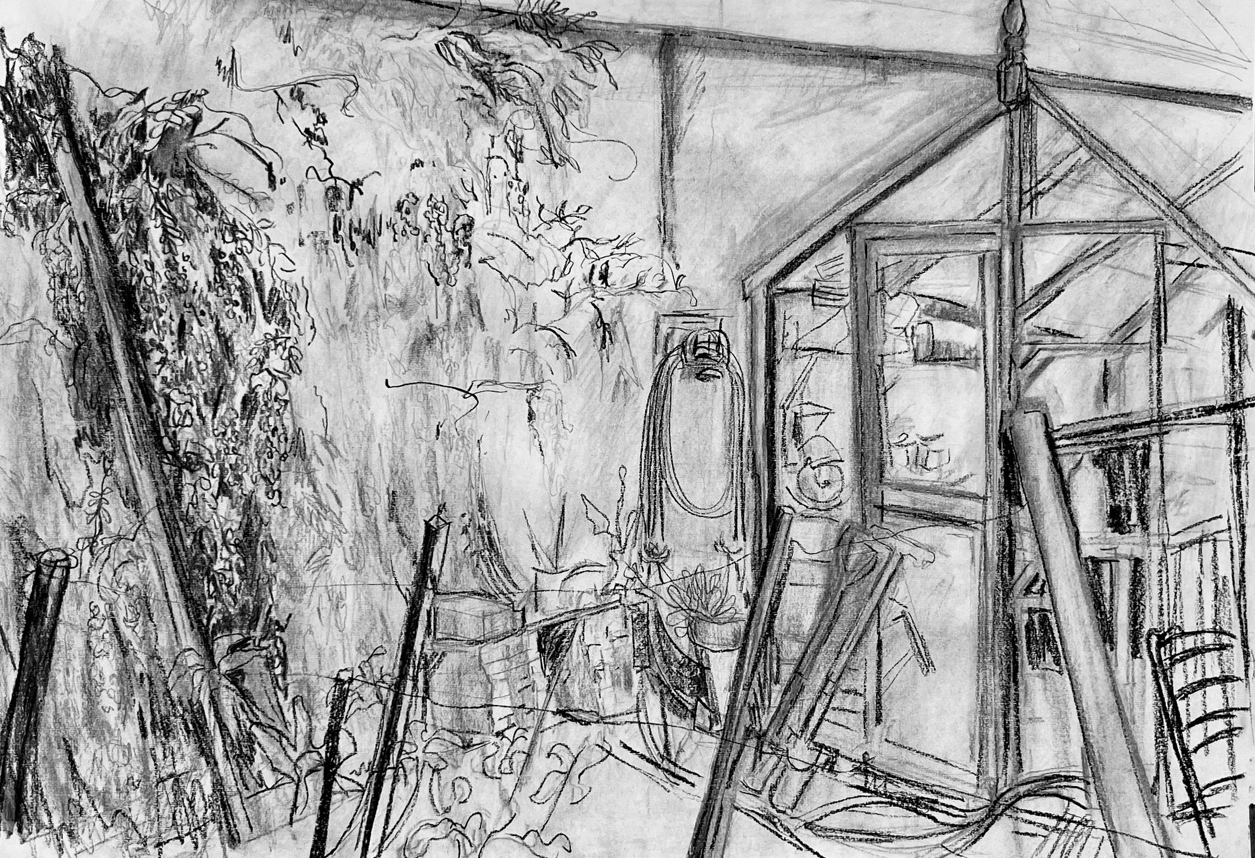 Greenhouse and Wisteria