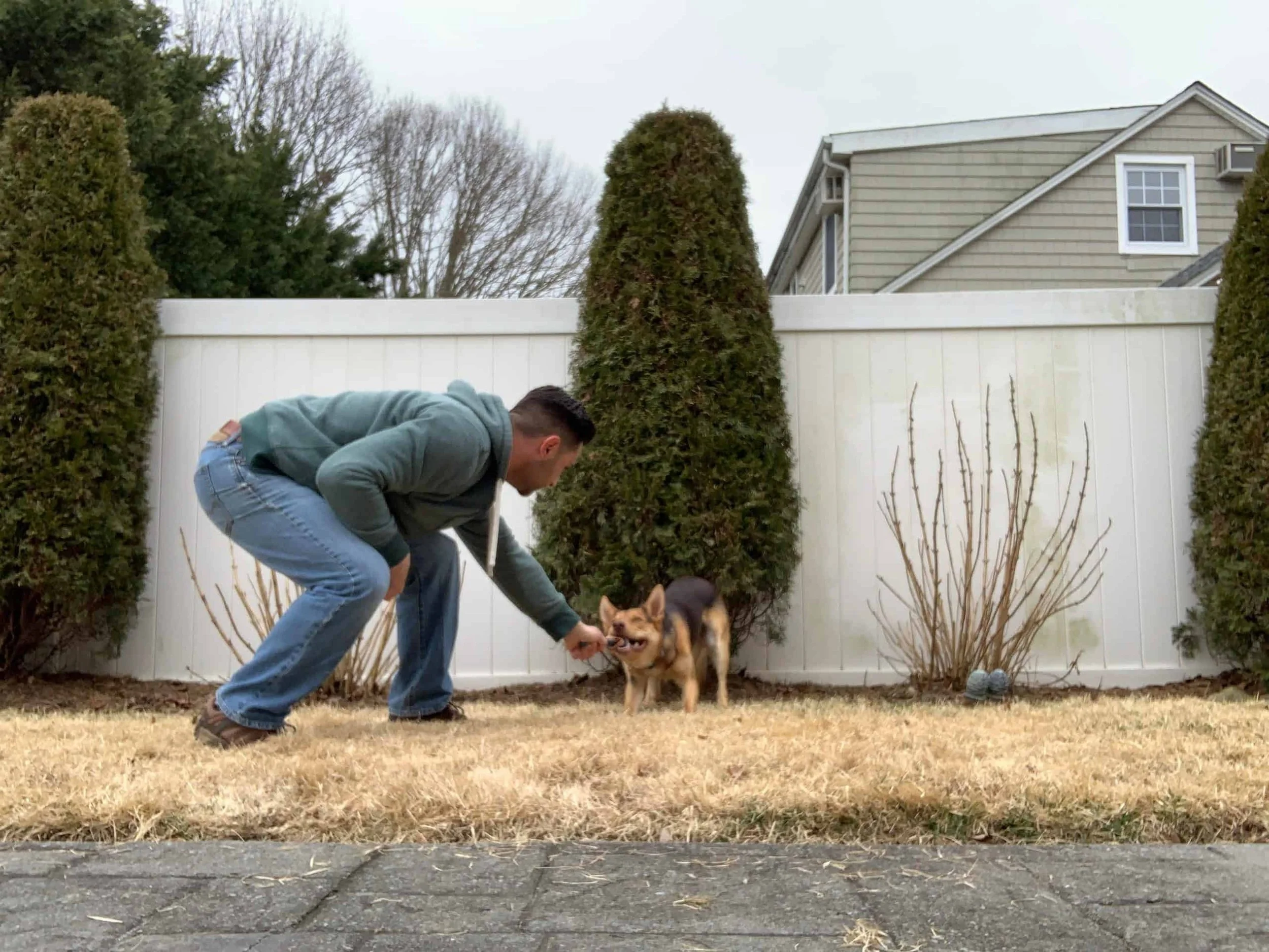 How To Safely Play Tug With Your Dog- How To Play Tug And The Benefits of Playing Tug With A Dog