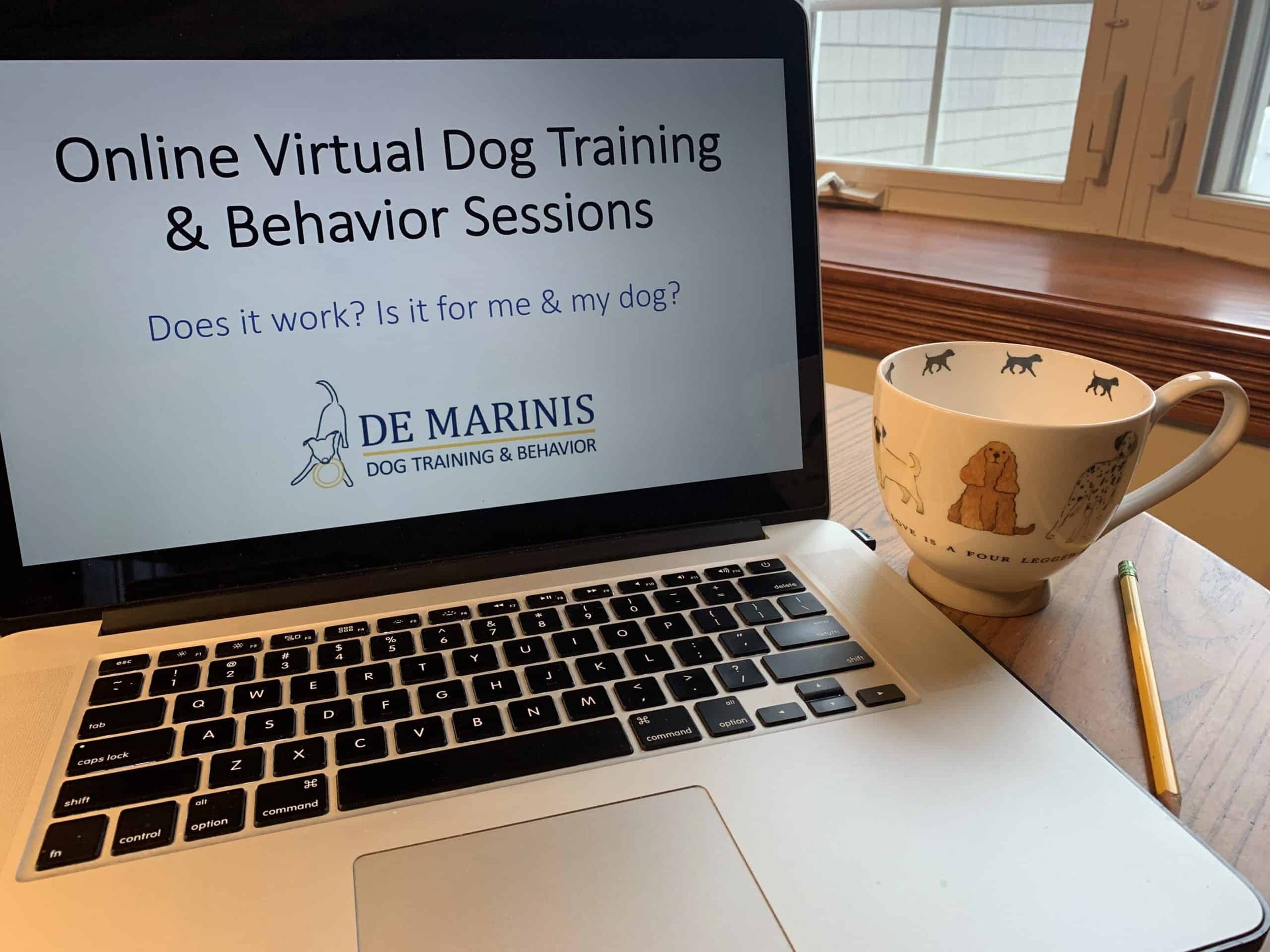 Online Virtual Dog Training & Behavior Sessions- Can It Help My Dog?