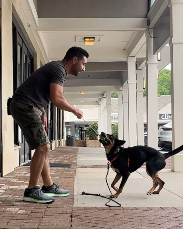 Quest and Anthony Playing Together