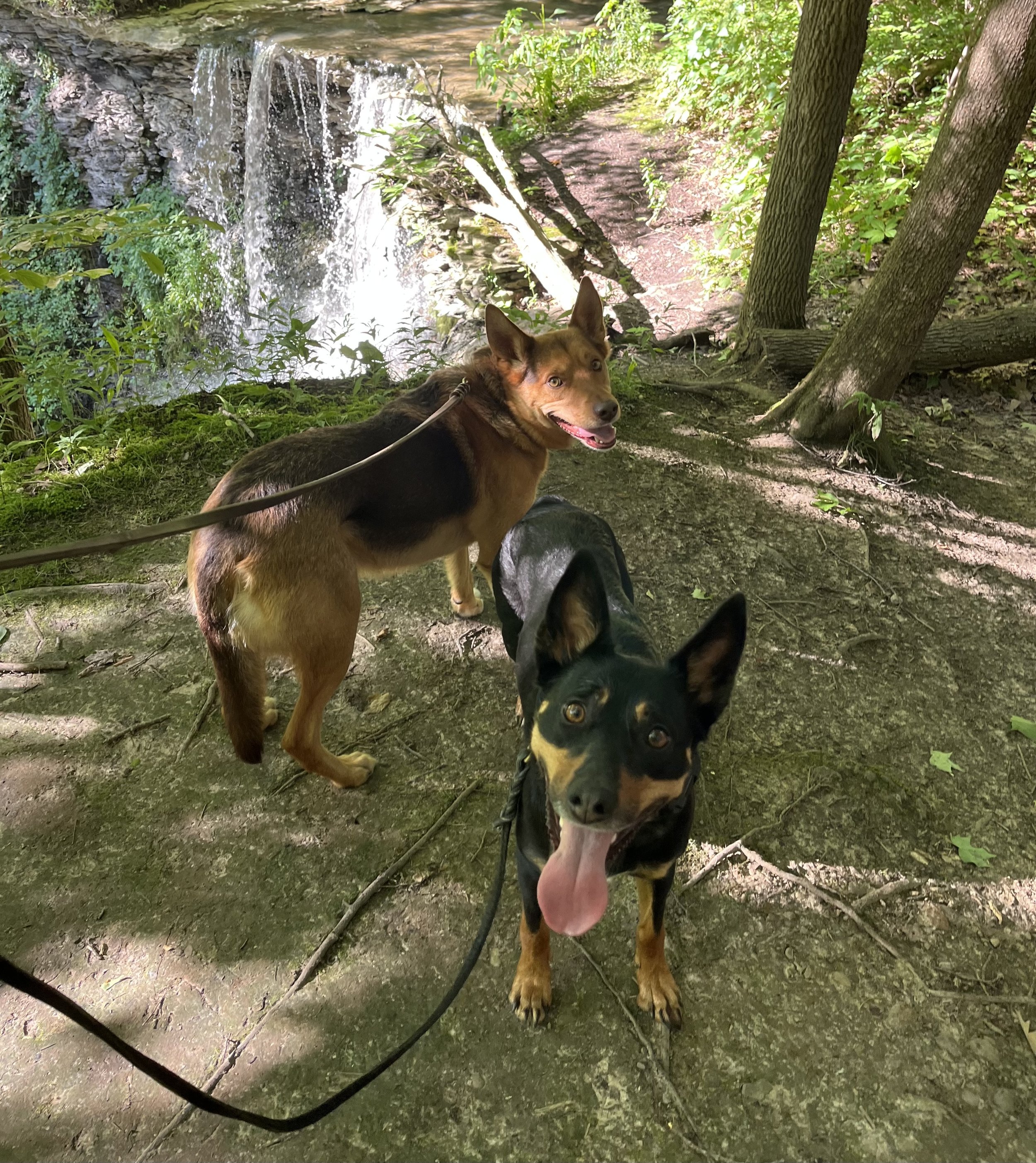 Journey and Quest hiking