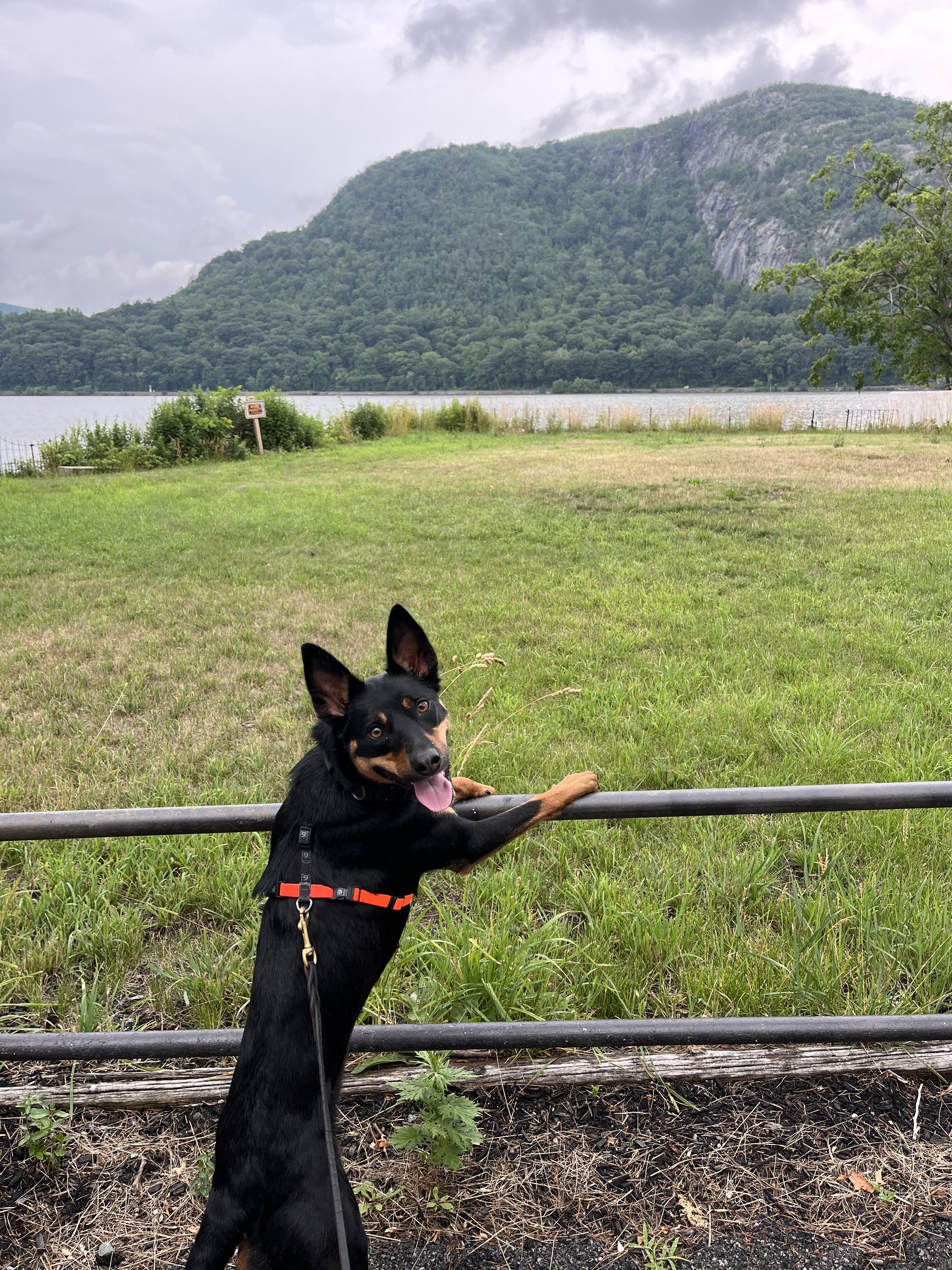 Quest exploring the Hudson Valley